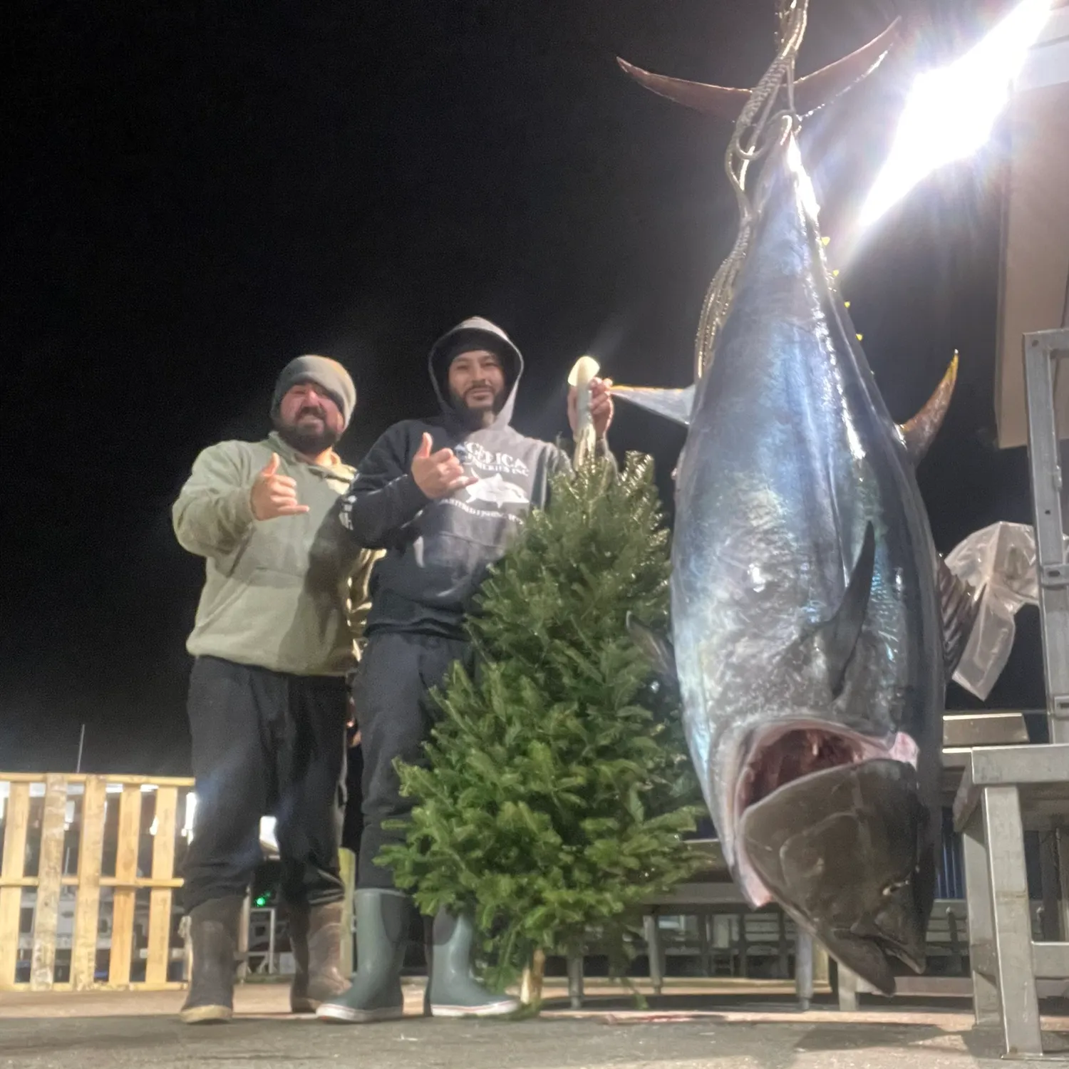 The most recent Atlantic bluefin tuna catches on Fishbrain