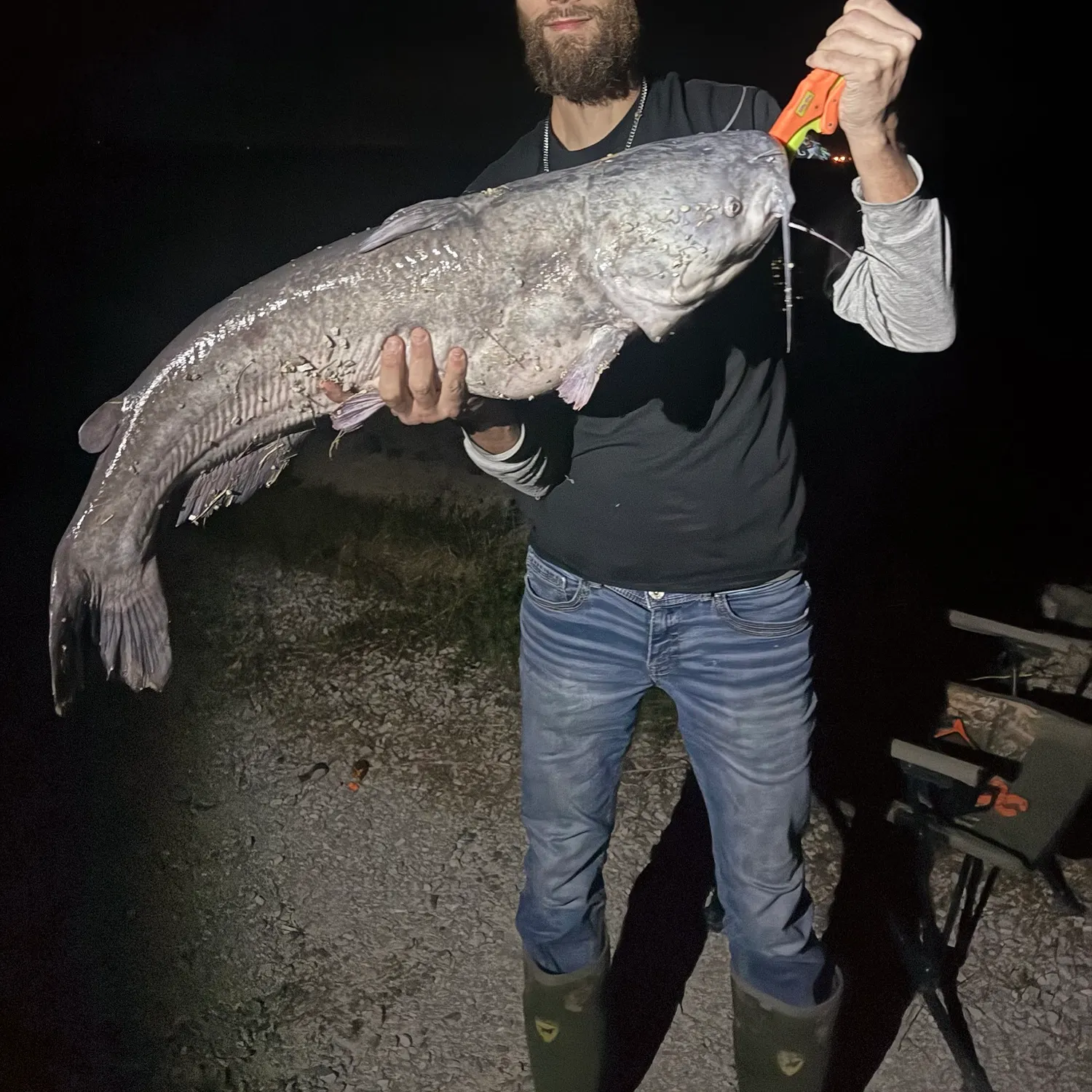 Blue catfish caught on Fishbrain