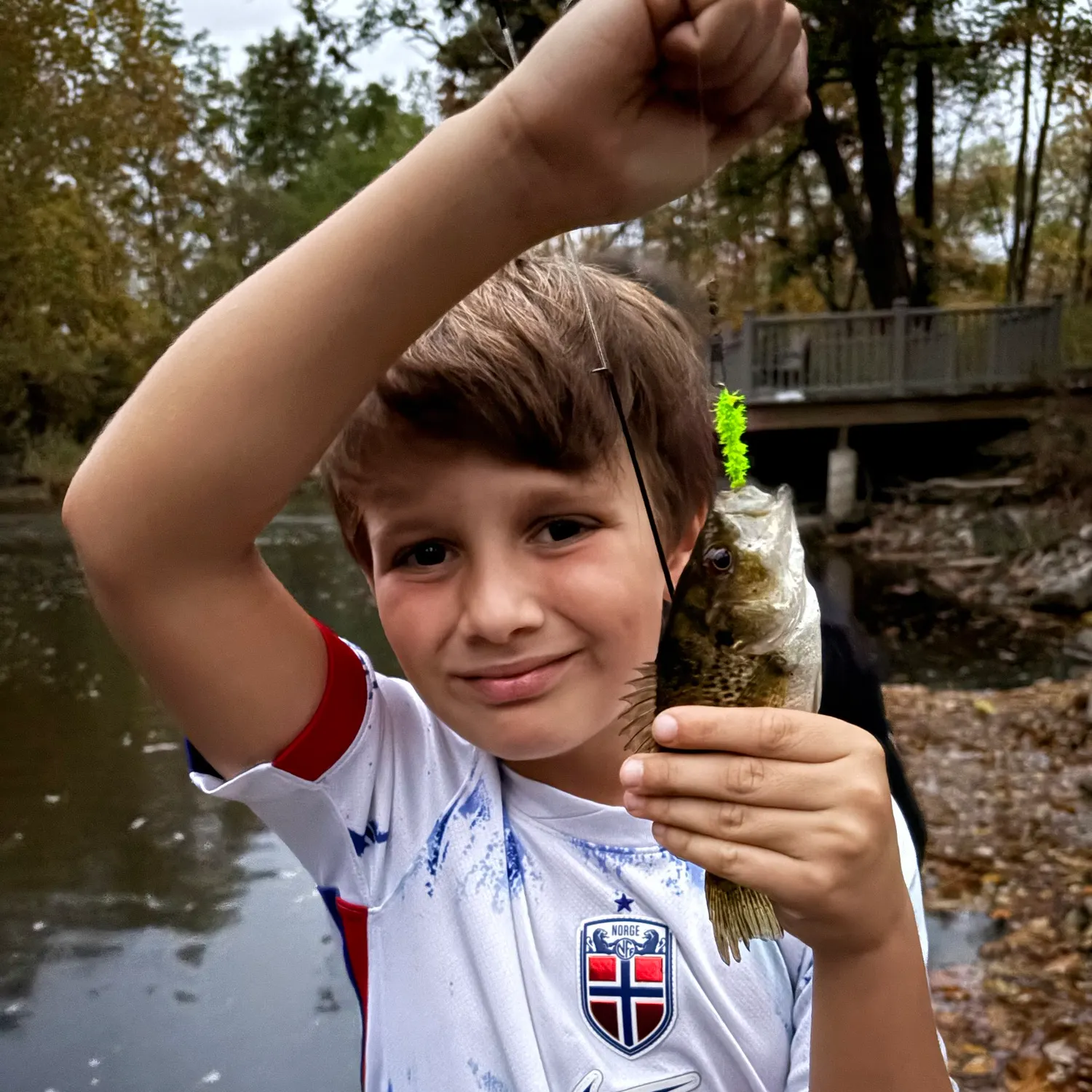 Rock bass caught on Fishbrain