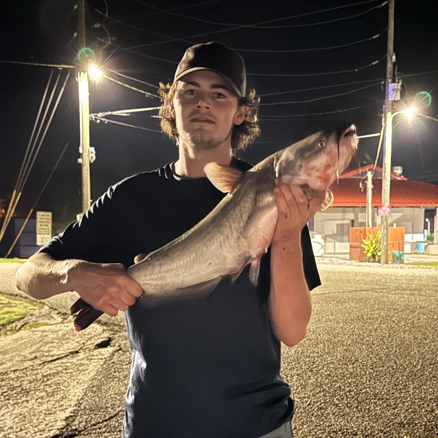 Blue catfish caught on Fishbrain