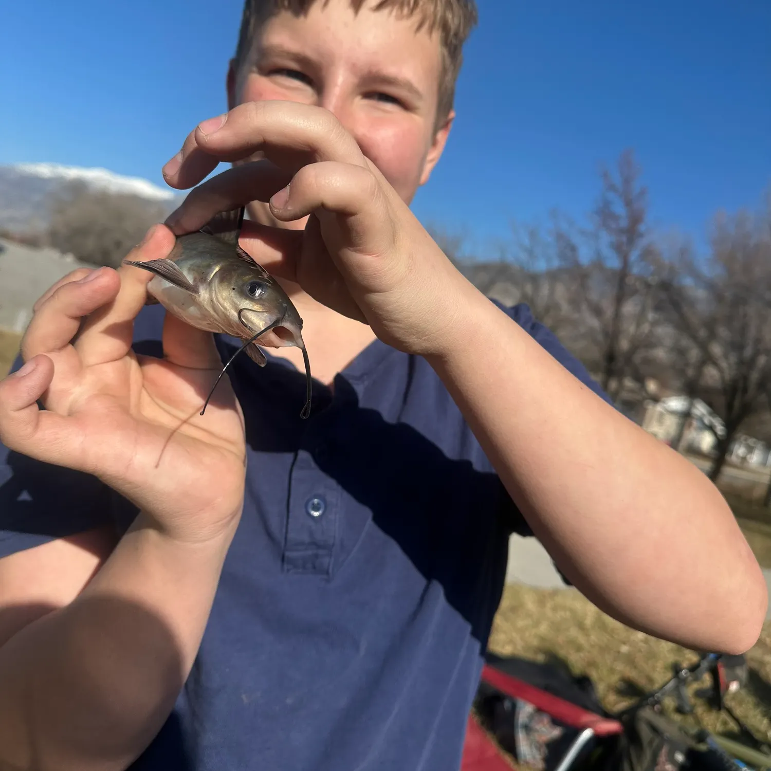 The most recent Channel catfish catches on Fishbrain