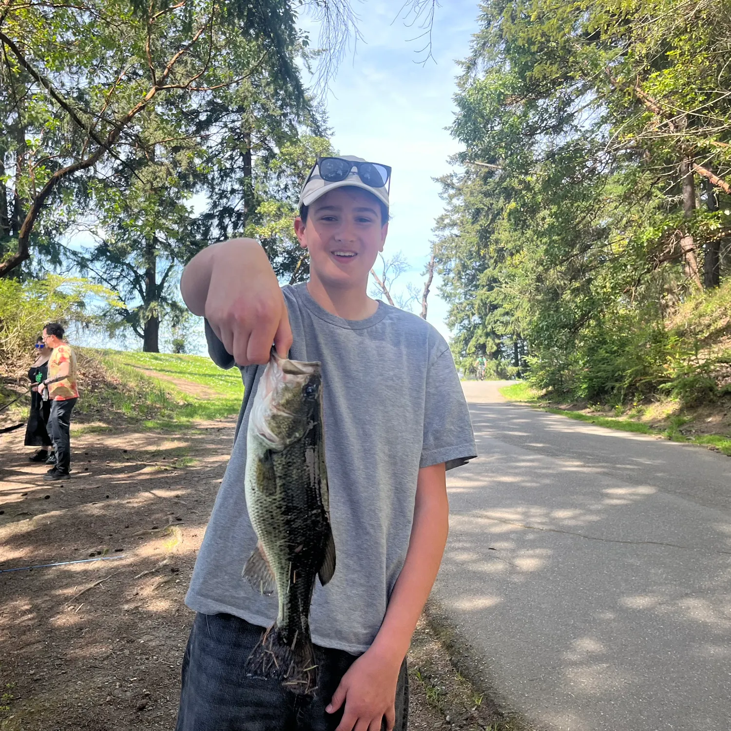 The most recent Largemouth bass catches on Fishbrain