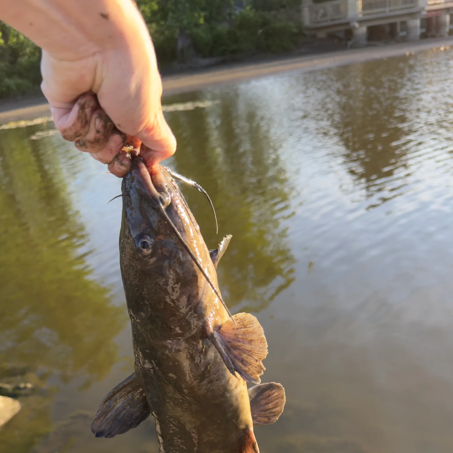catch