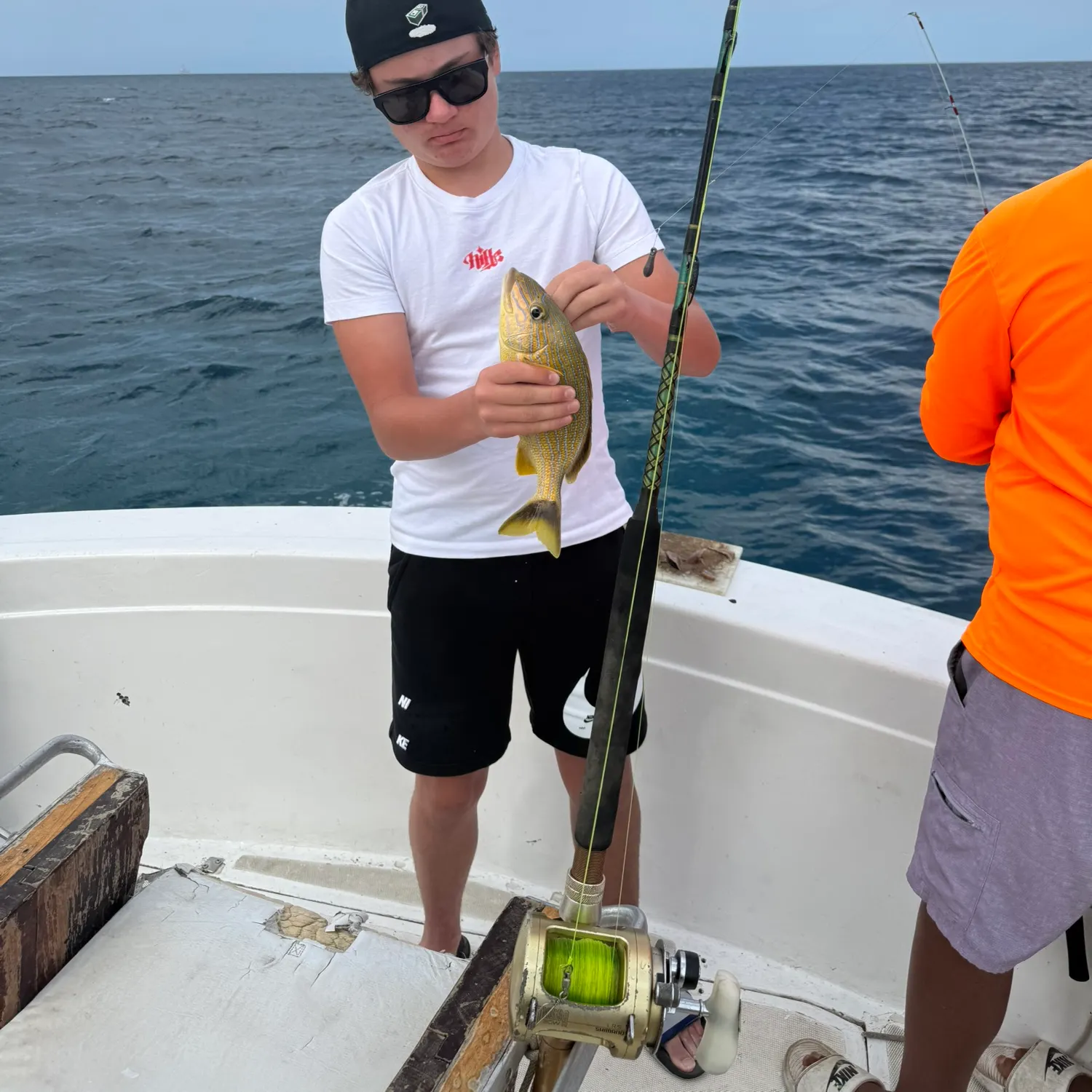 The most recent Bluestriped grunt catches on Fishbrain