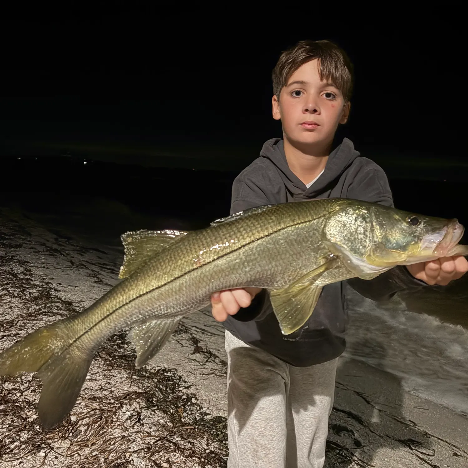 Common snook caught on Fishbrain