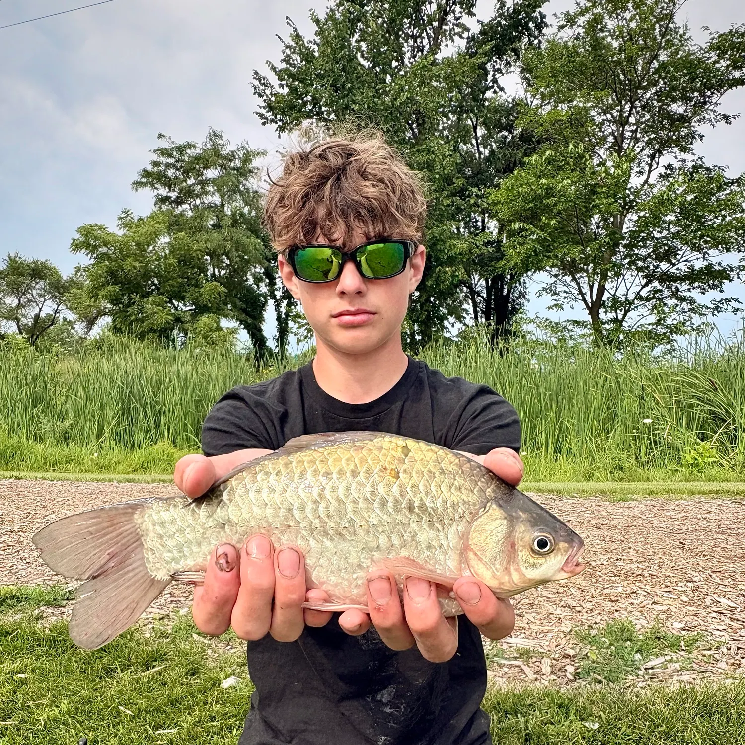 The most recent Japanese white crucian carp catches on Fishbrain