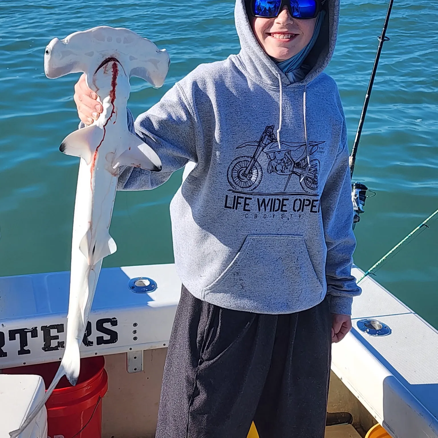The most recent Scalloped hammerhead shark catches on Fishbrain