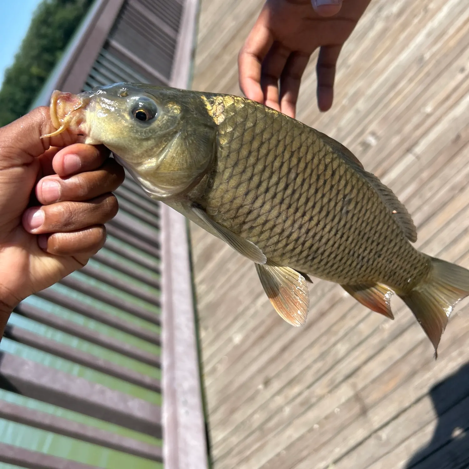 catch
