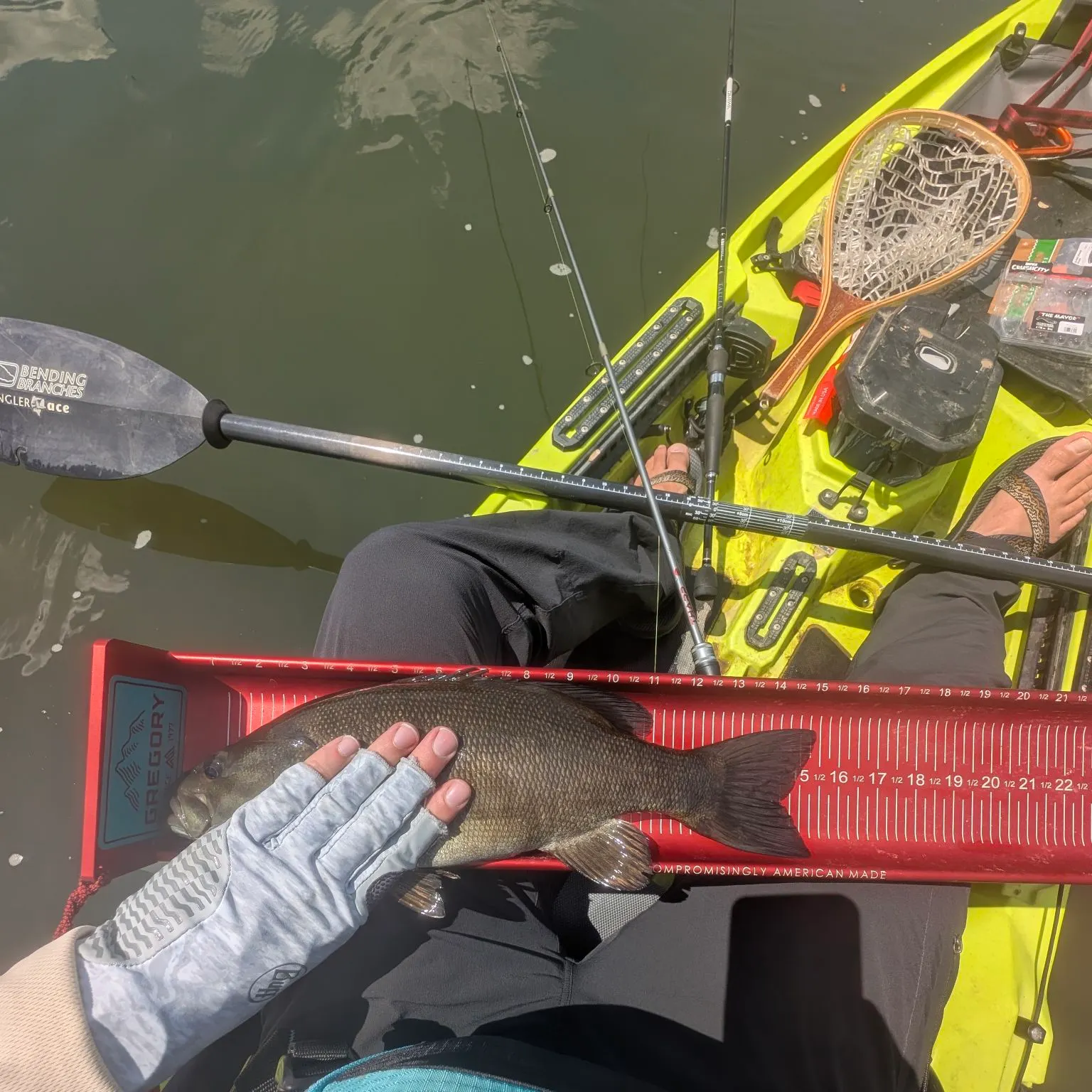 Smallmouth bass caught on Fishbrain