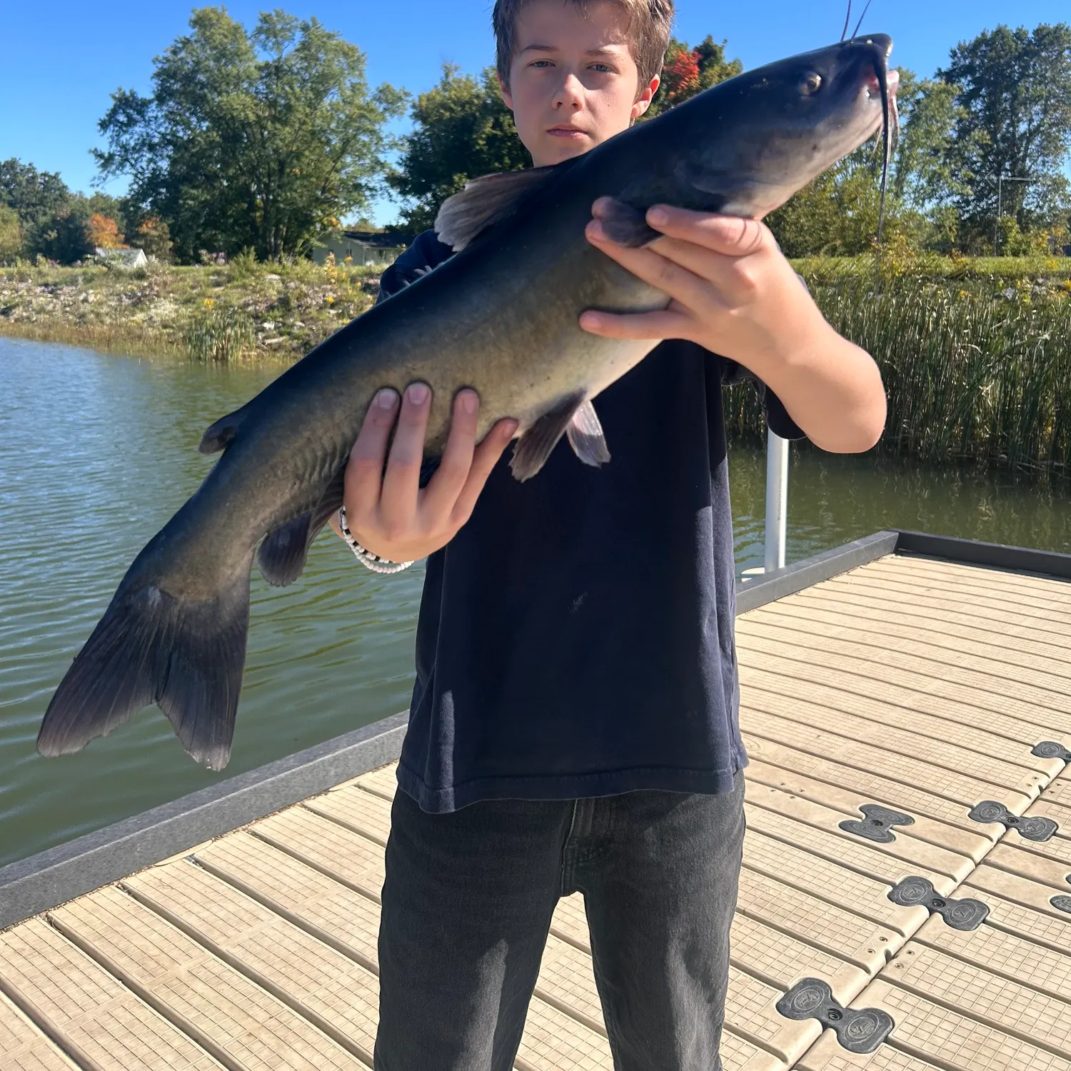 Channel catfish caught on Fishbrain