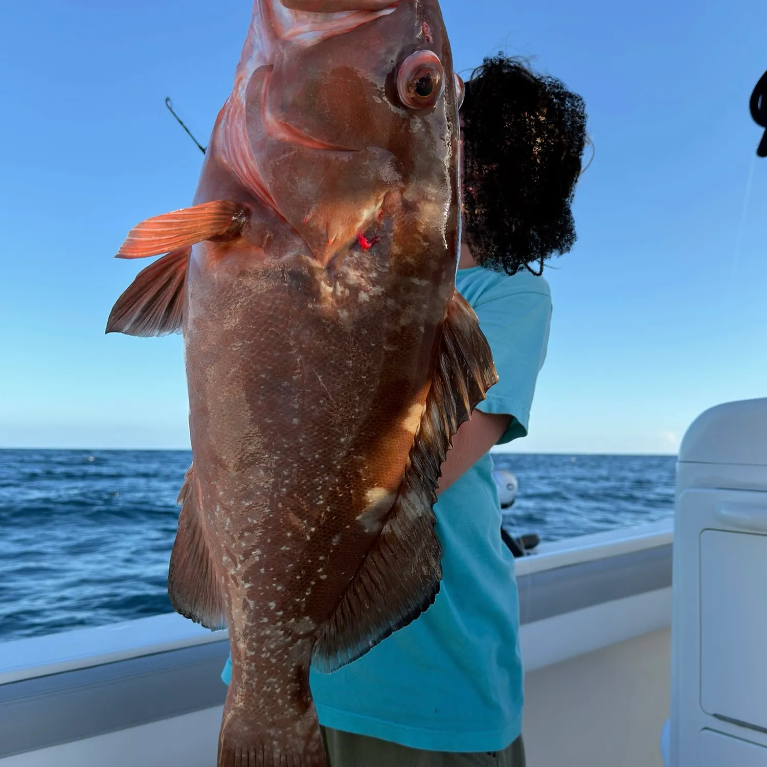 The most recent Red grouper catches on Fishbrain