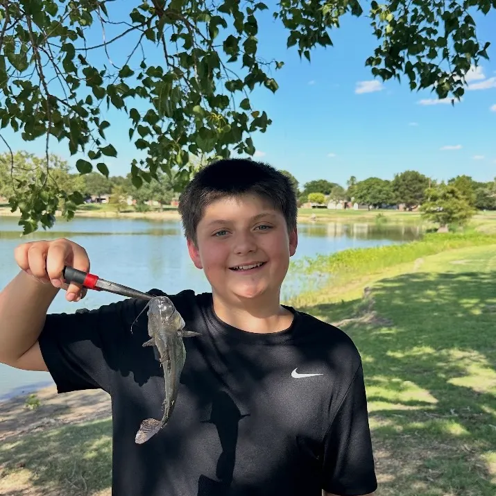 Black bullhead caught on Fishbrain