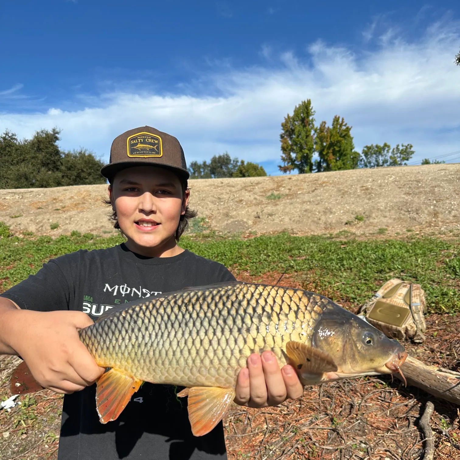 Common carp caught on Fishbrain