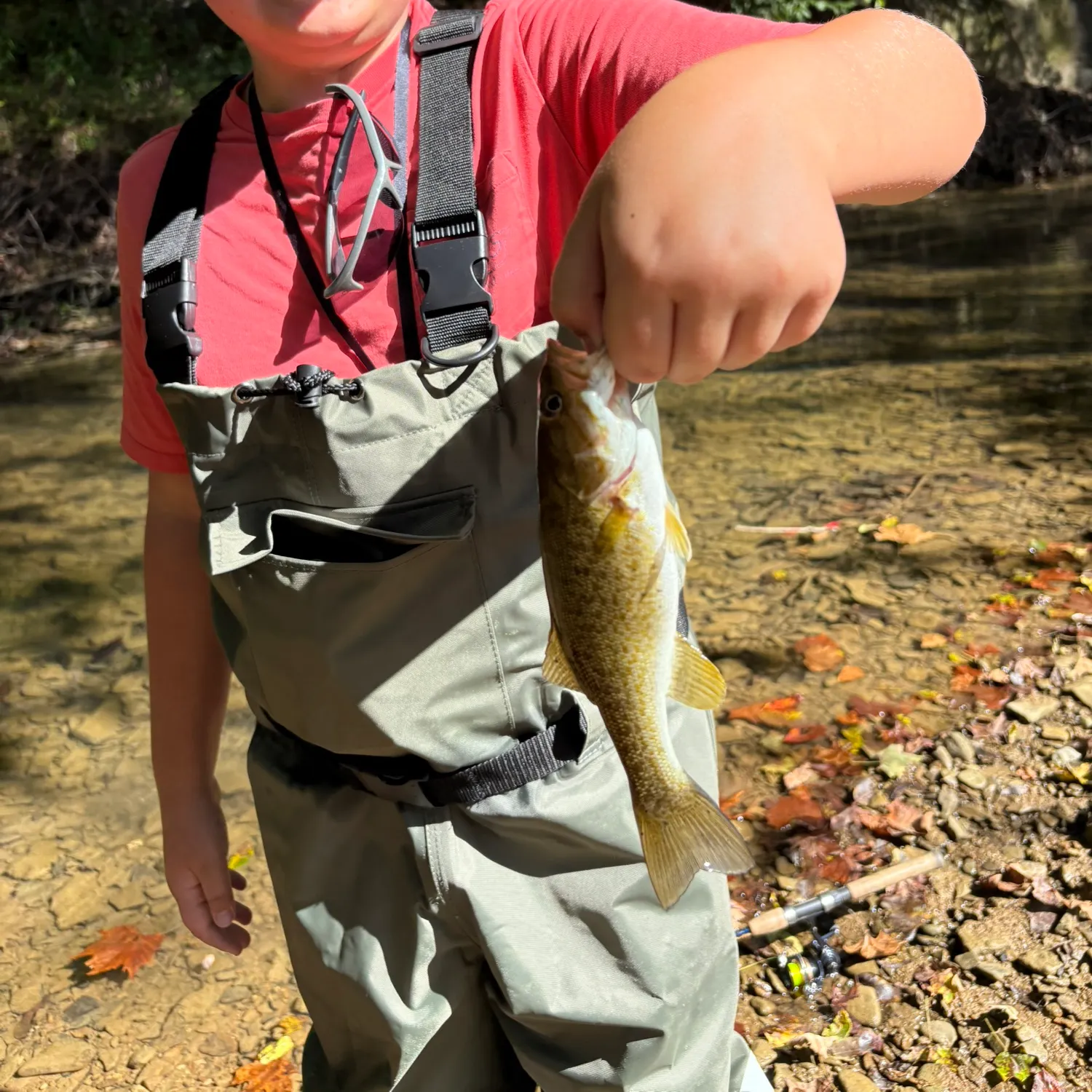 Smallmouth bass caught on Fishbrain