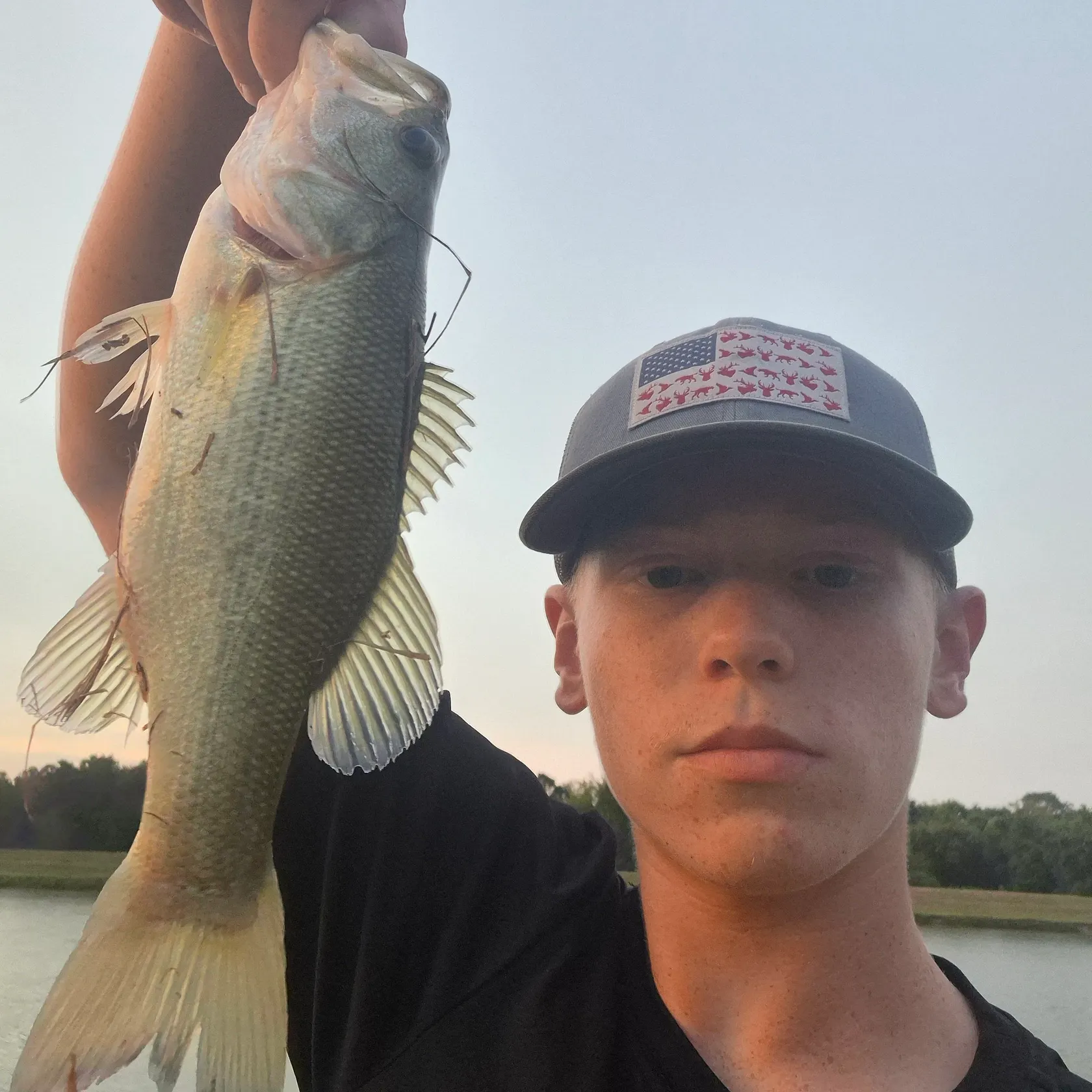 Largemouth bass caught on Fishbrain
