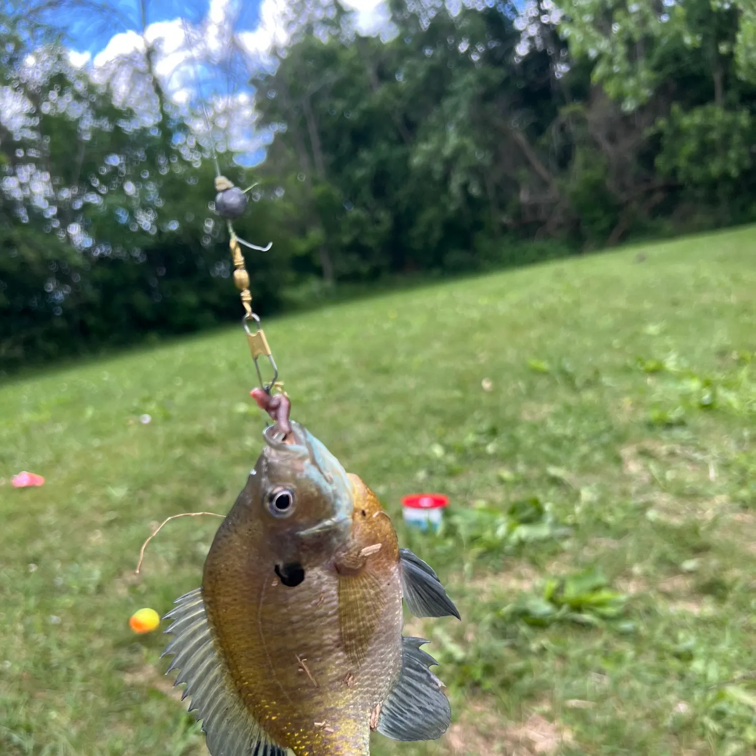 catch