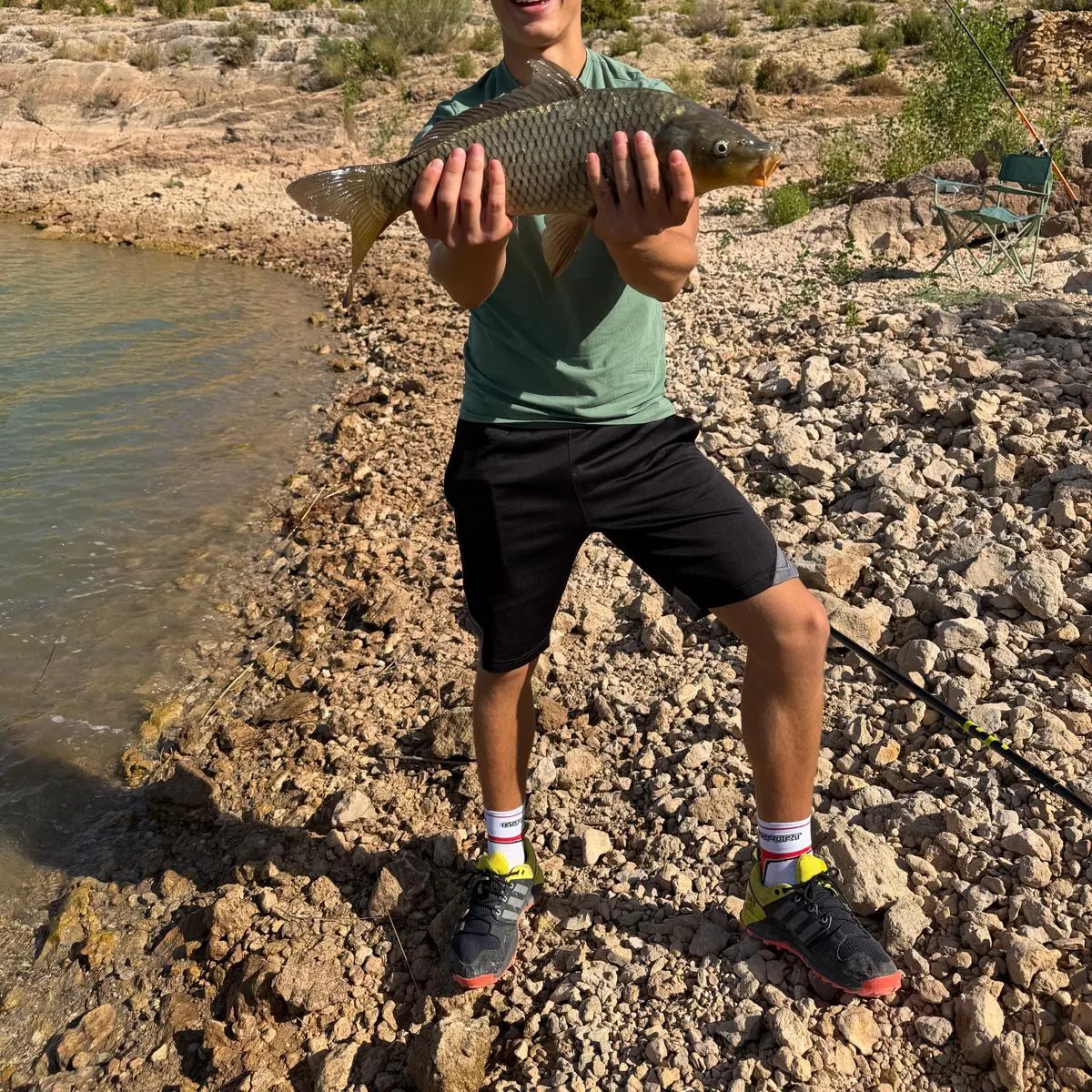 Common carp caught on Fishbrain