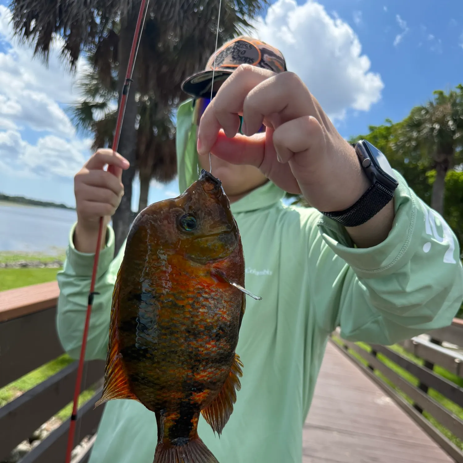 Redhead cichlid caught on Fishbrain