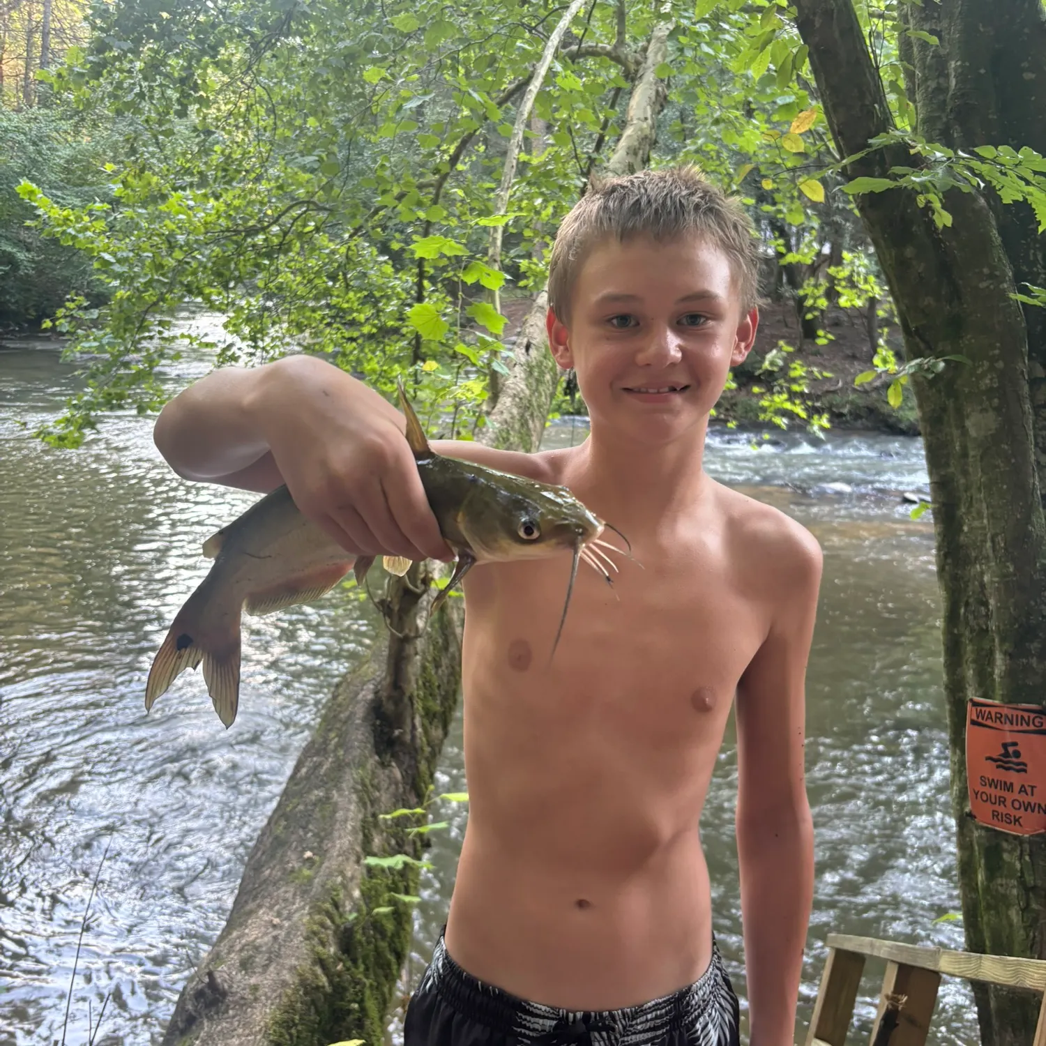 Channel catfish caught on Fishbrain