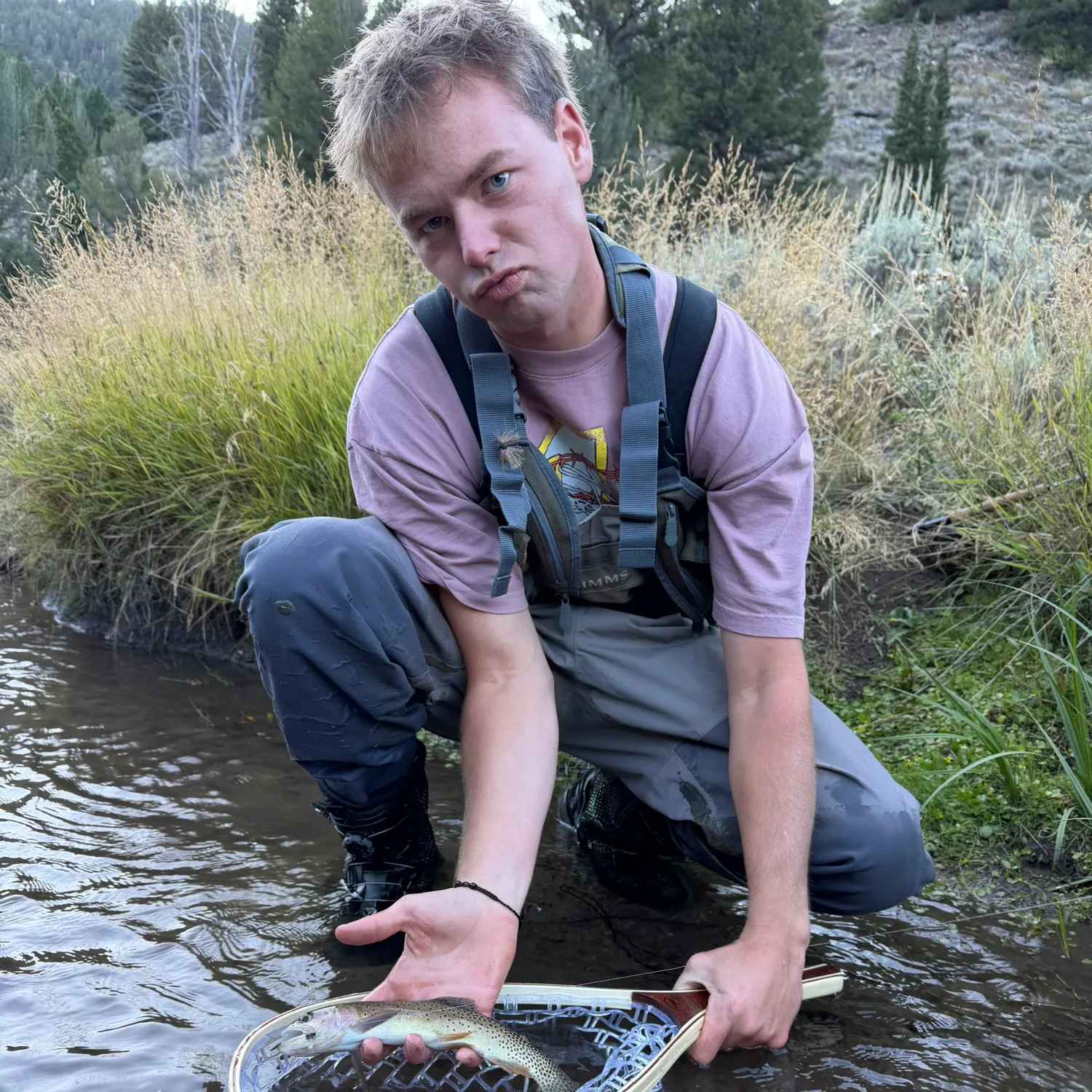 Cutthroat trout caught on Fishbrain