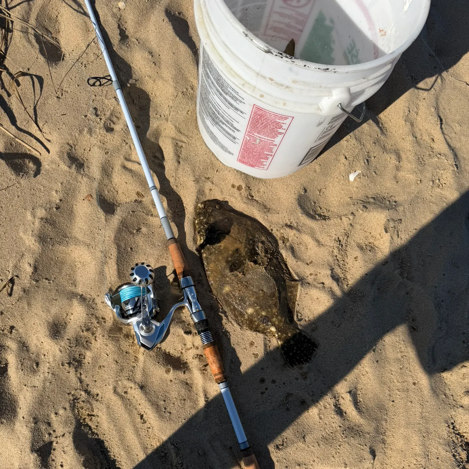 Fish caught on Fishbrain