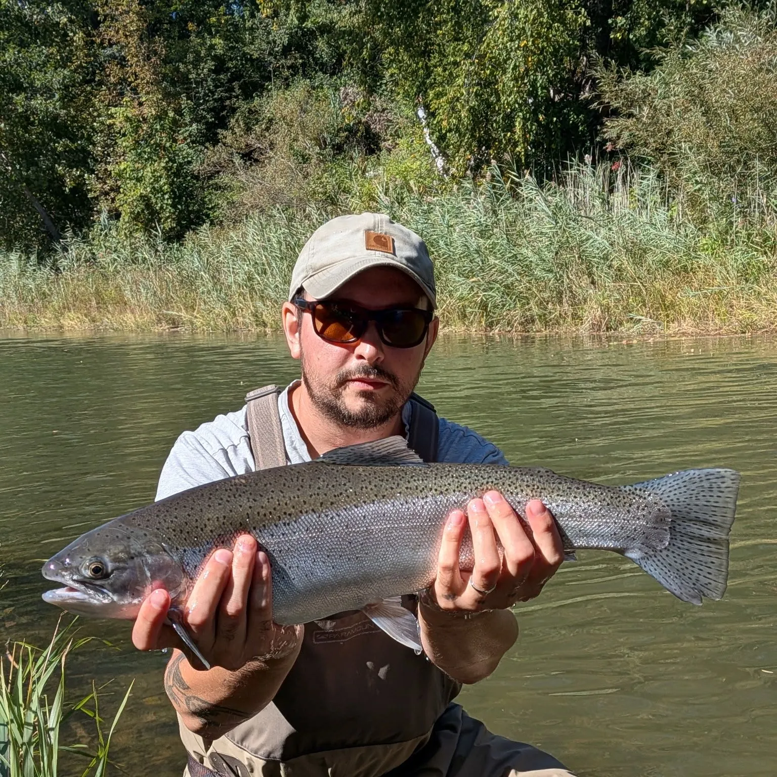 Steelhead caught on Fishbrain