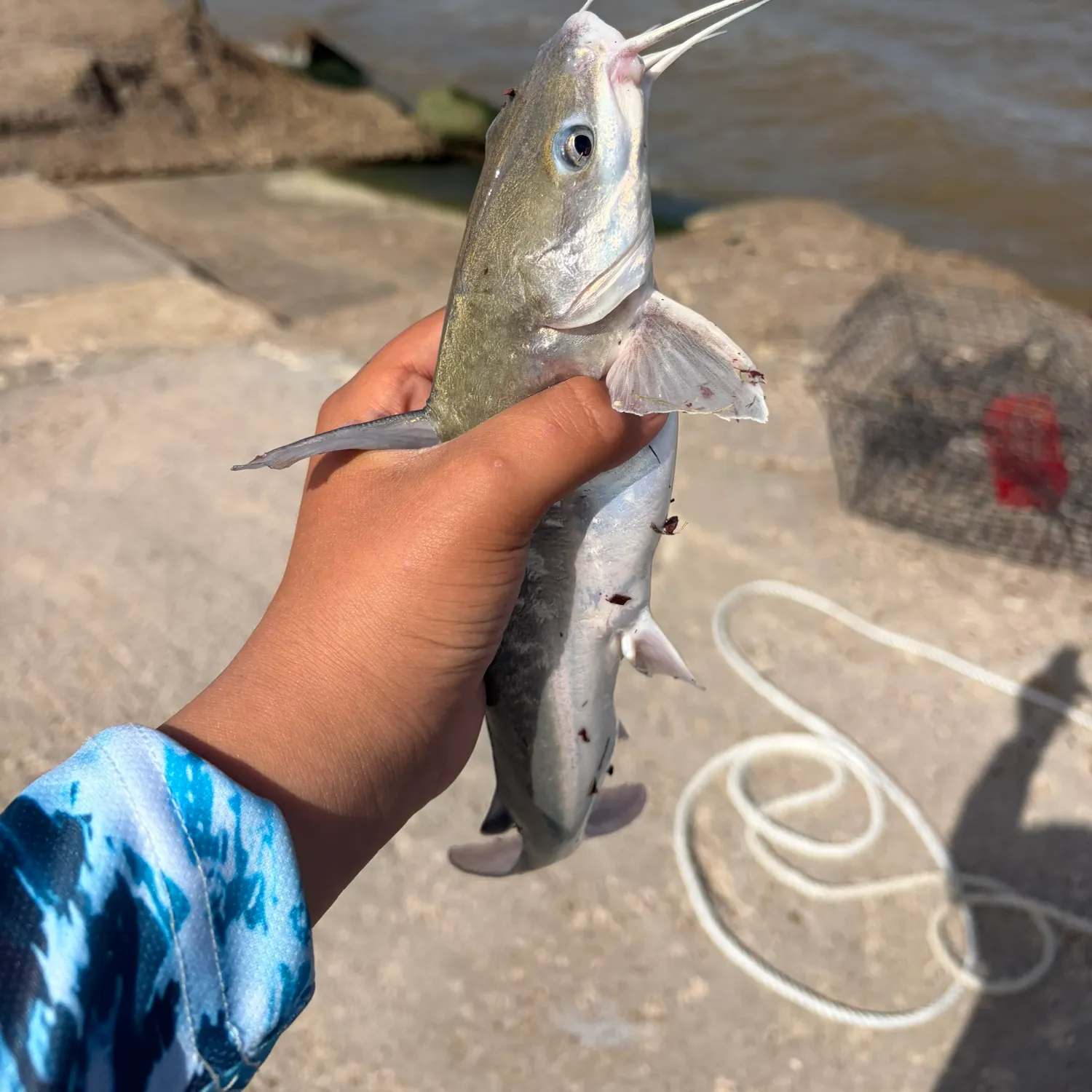 catch