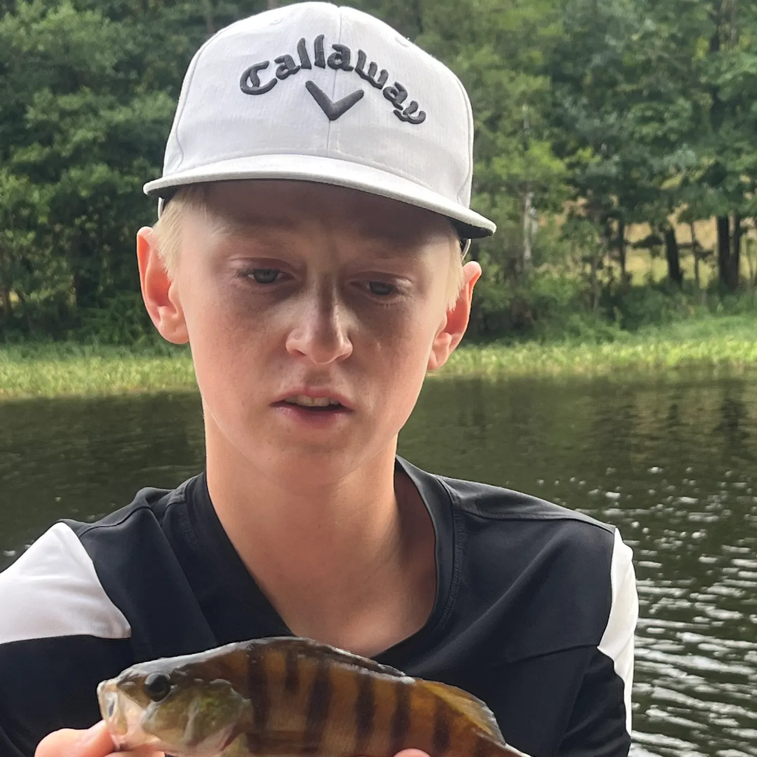 European perch caught on Fishbrain