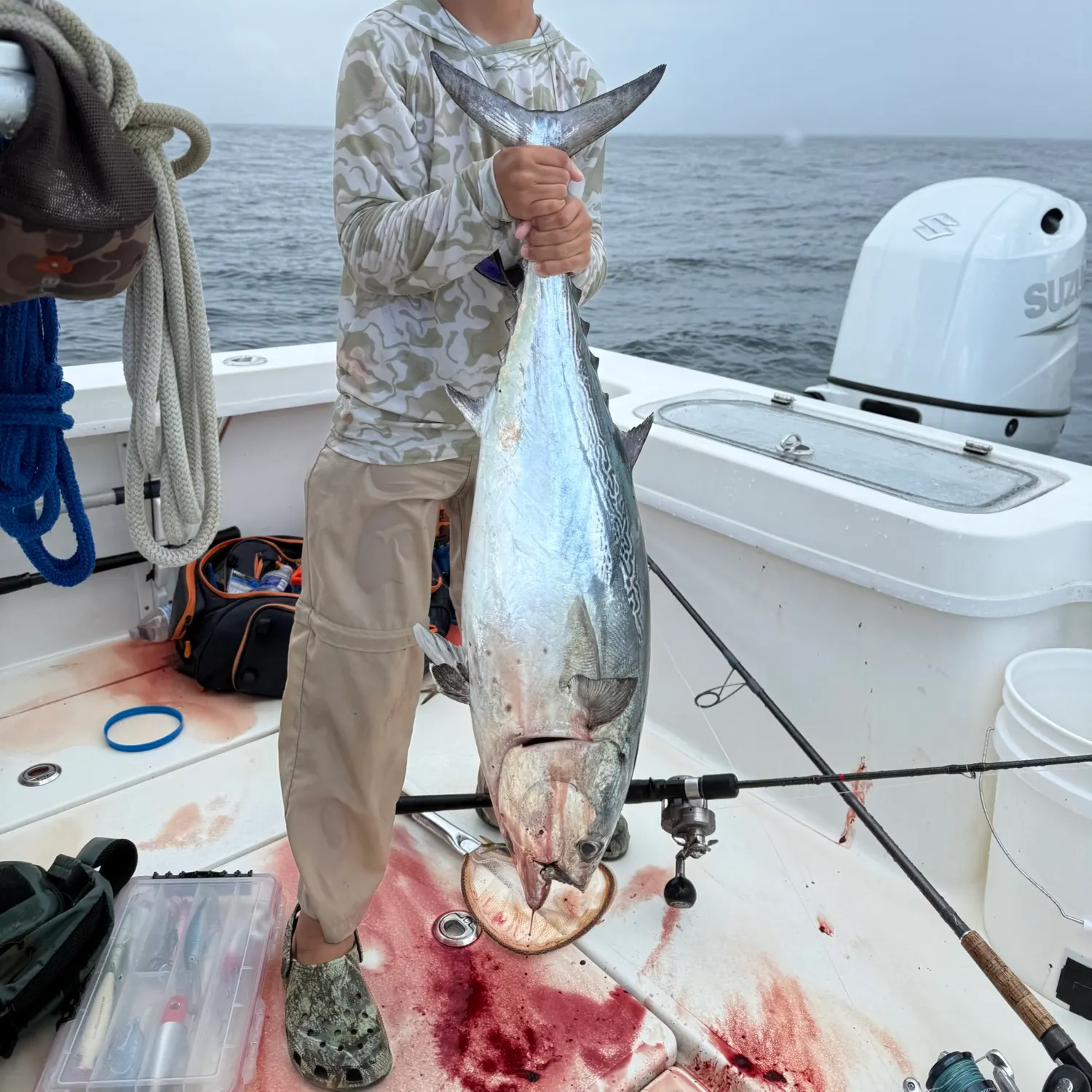 Little tunny caught on Fishbrain