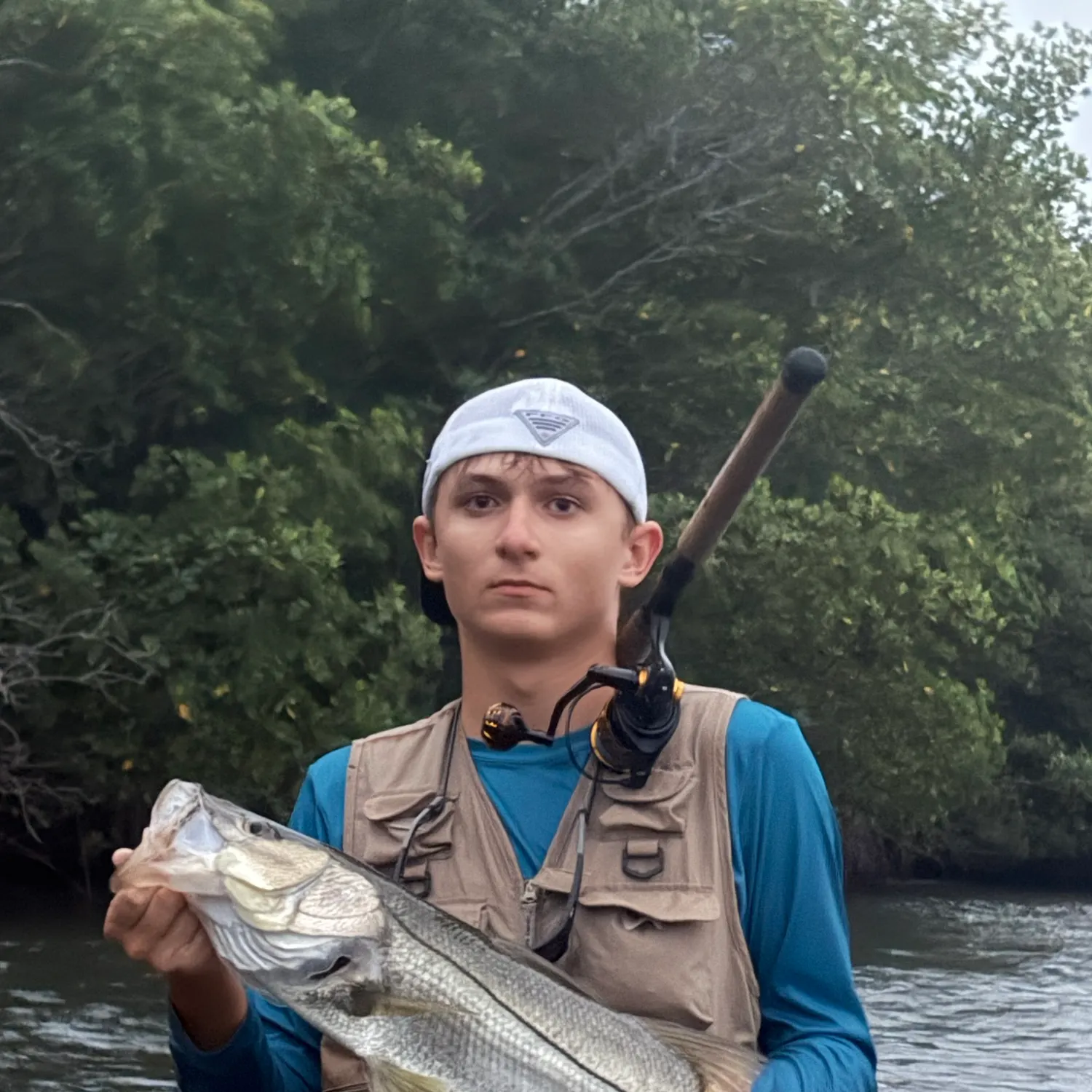 Common snook caught on Fishbrain