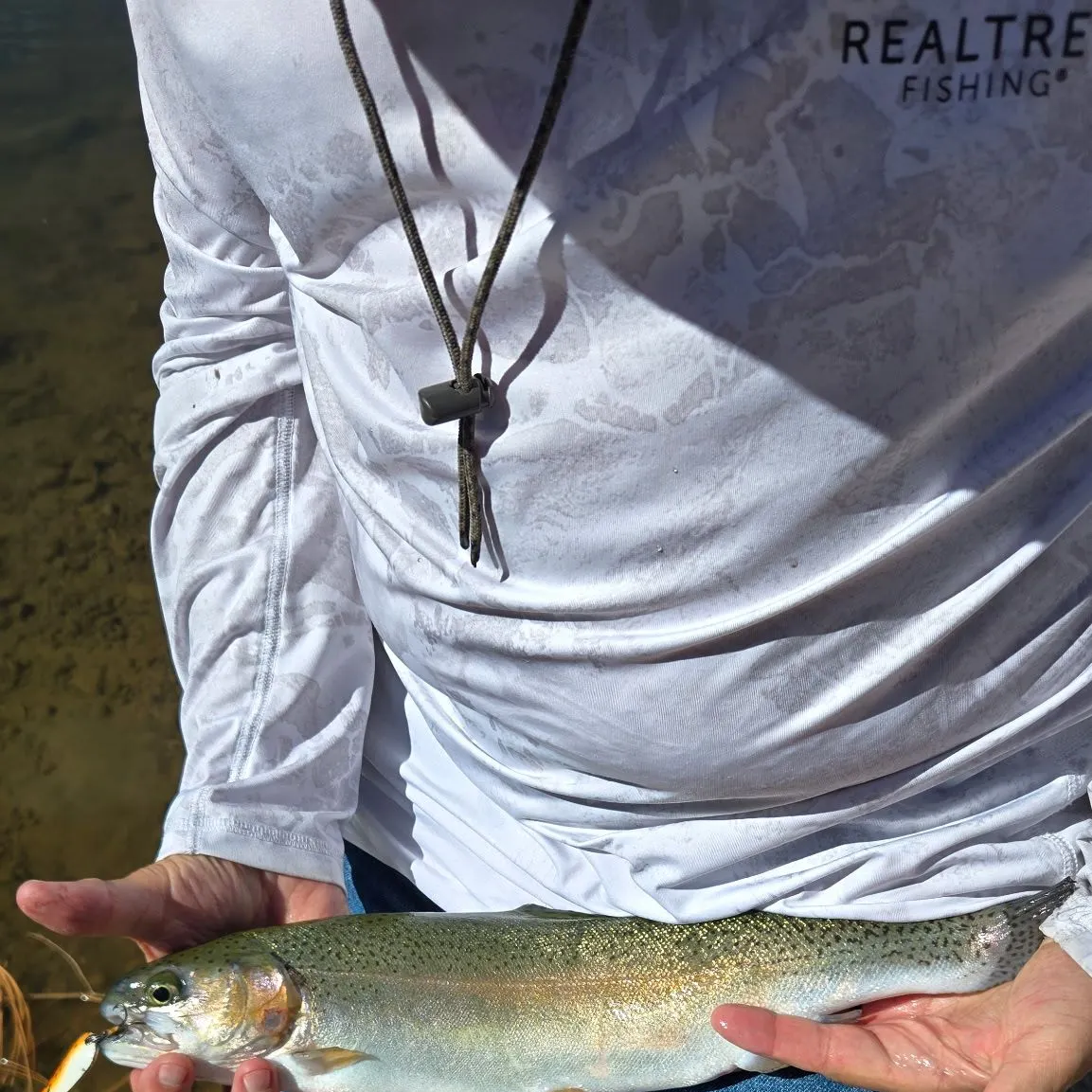 Rainbow trout caught on Fishbrain
