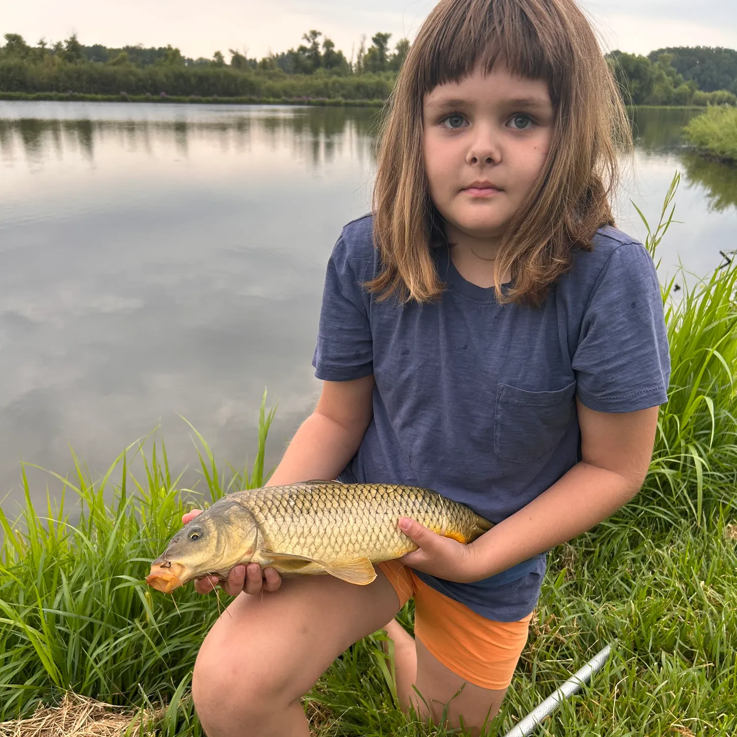 Common carp caught on Fishbrain