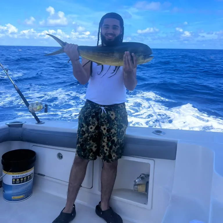 Common dolphinfish caught on Fishbrain