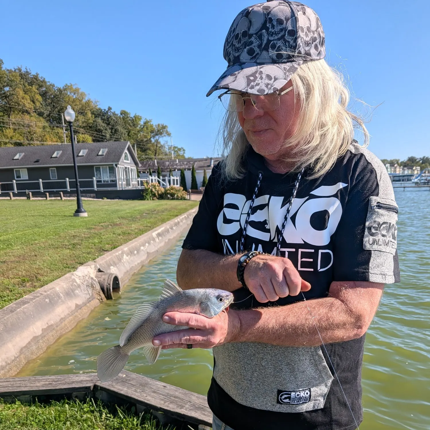 Freshwater drum caught on Fishbrain