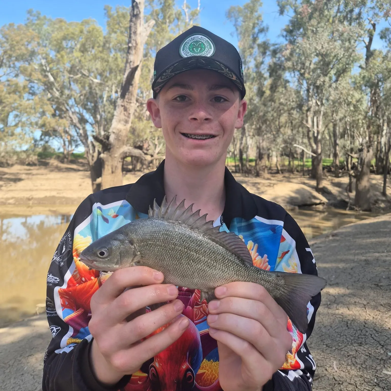 The most recent Bidyan perch catches on Fishbrain