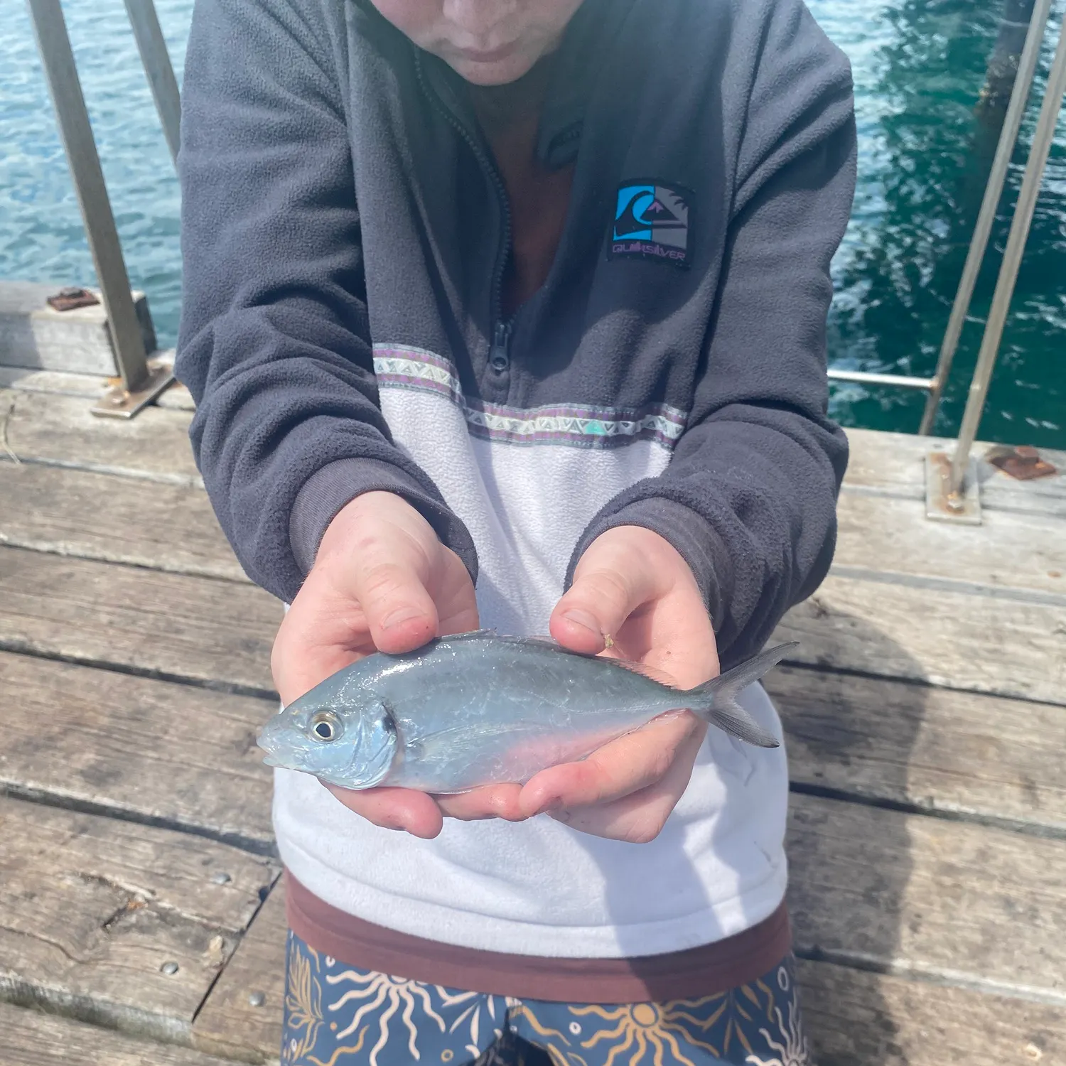 Silver trevally caught on Fishbrain