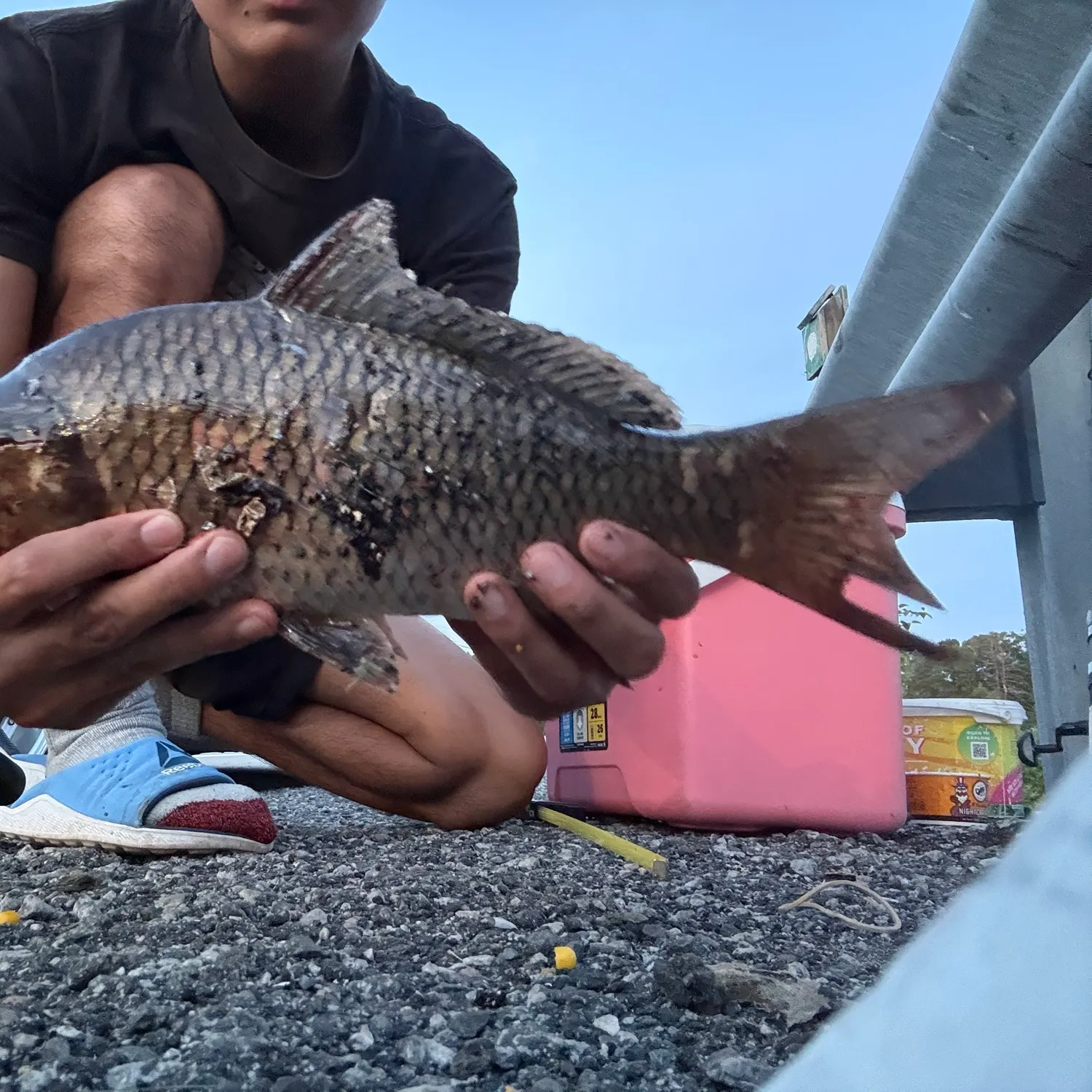 catch