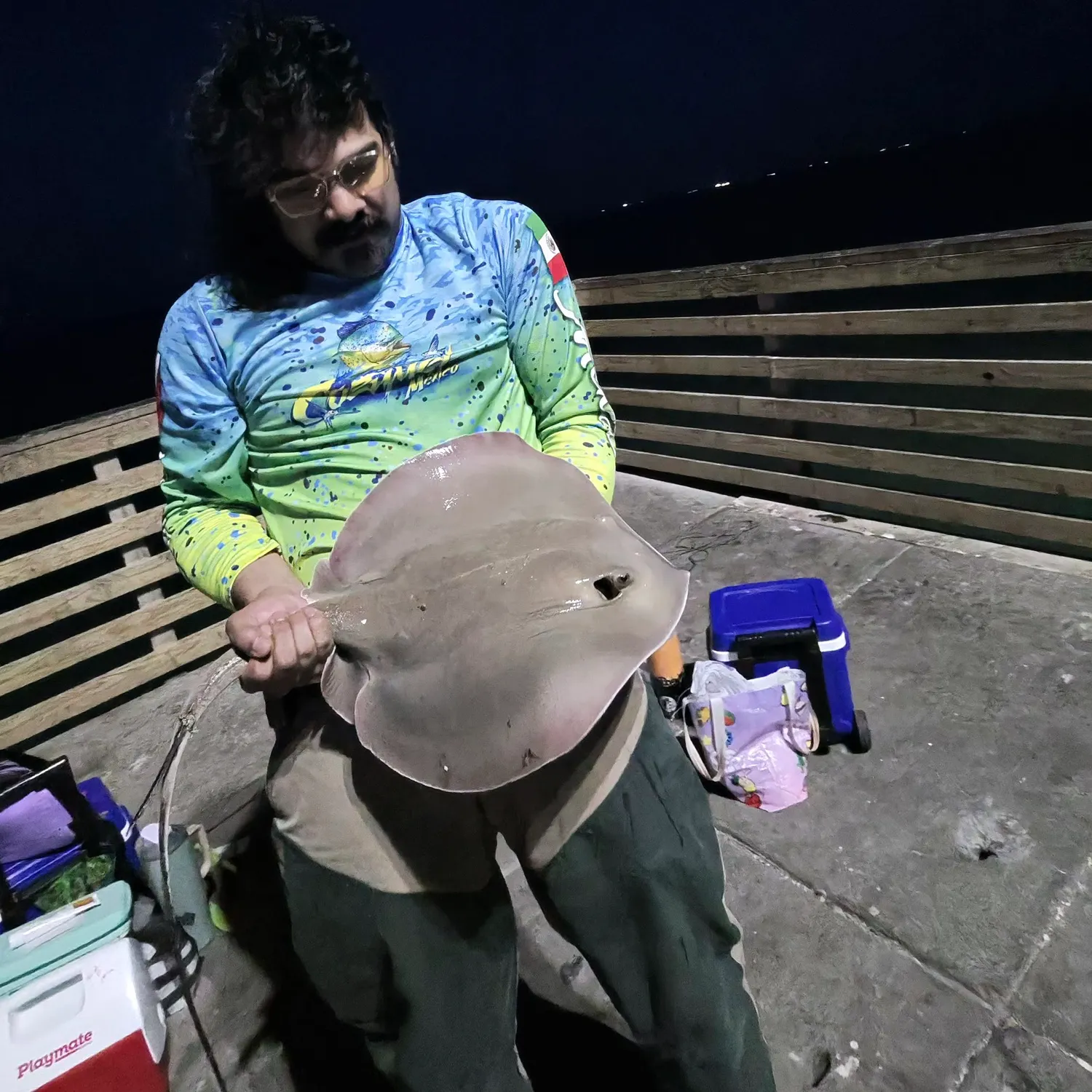 The most recent Bluntnose stingray catches on Fishbrain