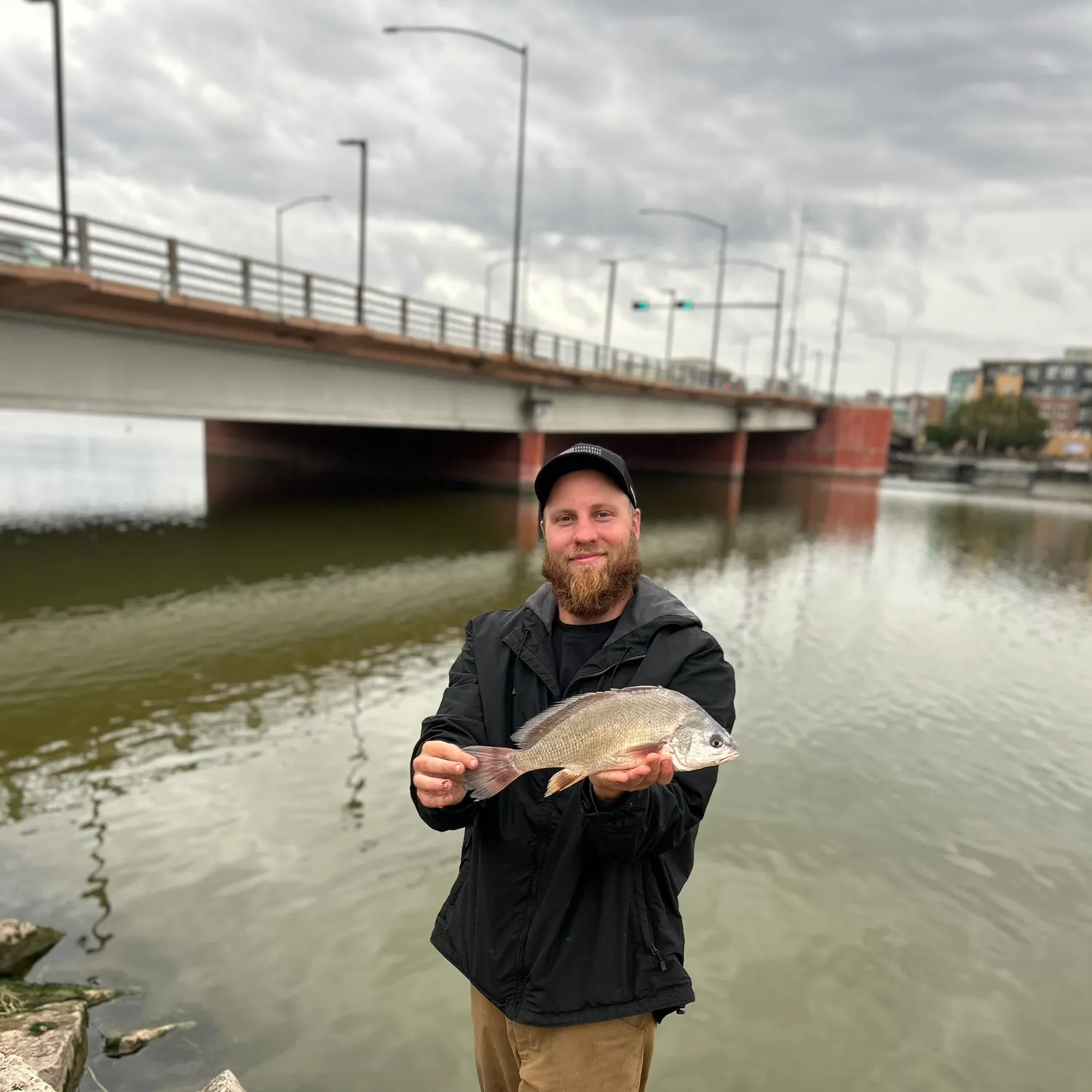 Freshwater drum caught on Fishbrain