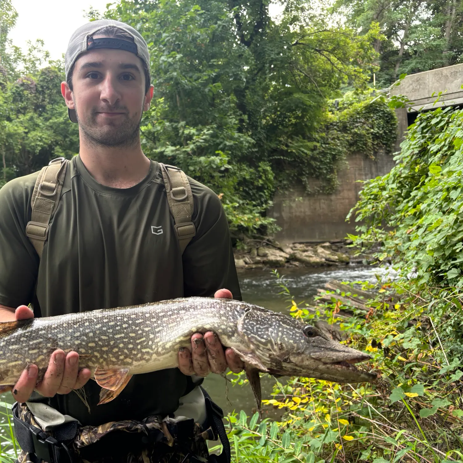Fishing in Rochester, NY (United States) ️️️️ Find Spots, Species & Tips