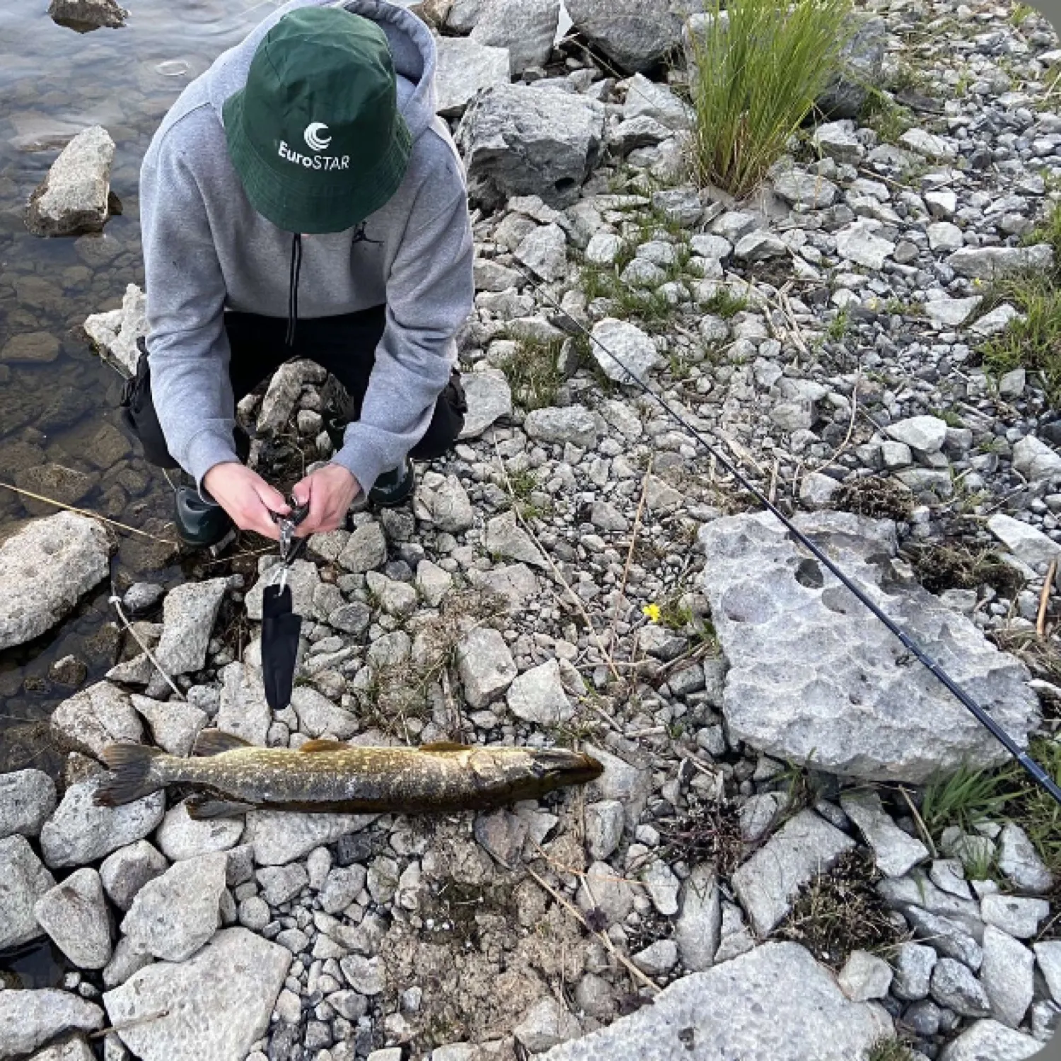 Northern pike caught on Fishbrain