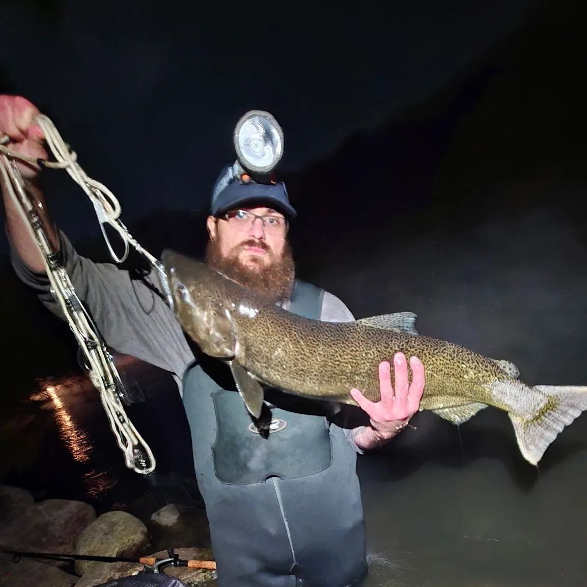 Chinook salmon caught on Fishbrain