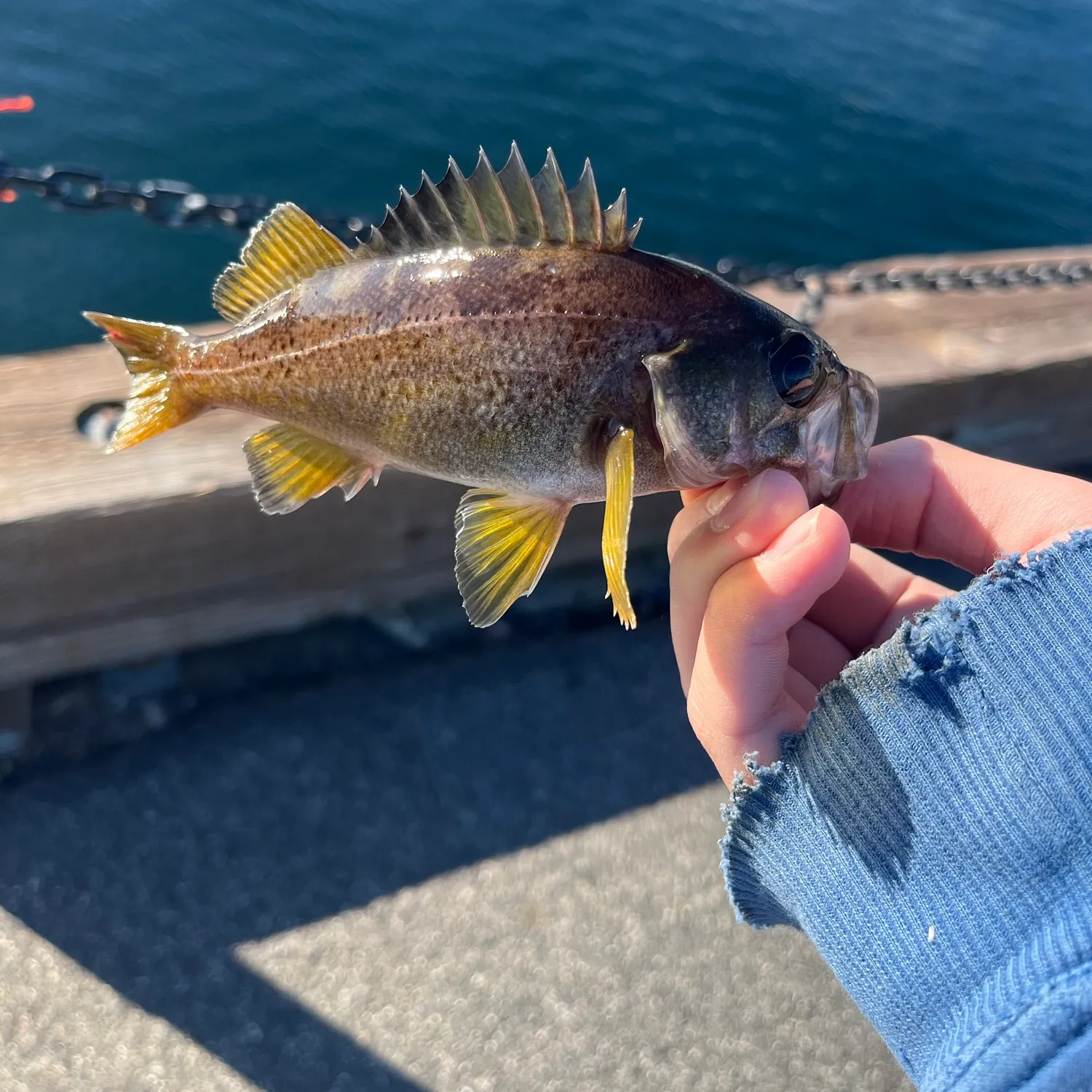 catch