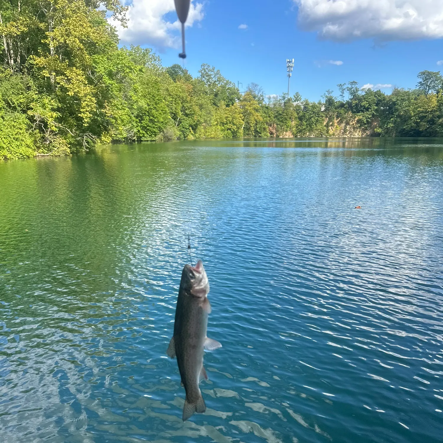 Rainbow trout caught on Fishbrain