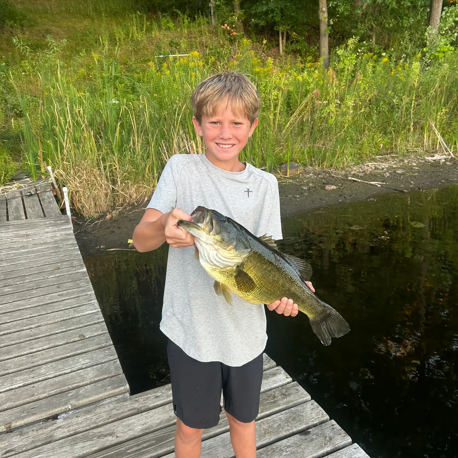 Largemouth bass caught on Fishbrain