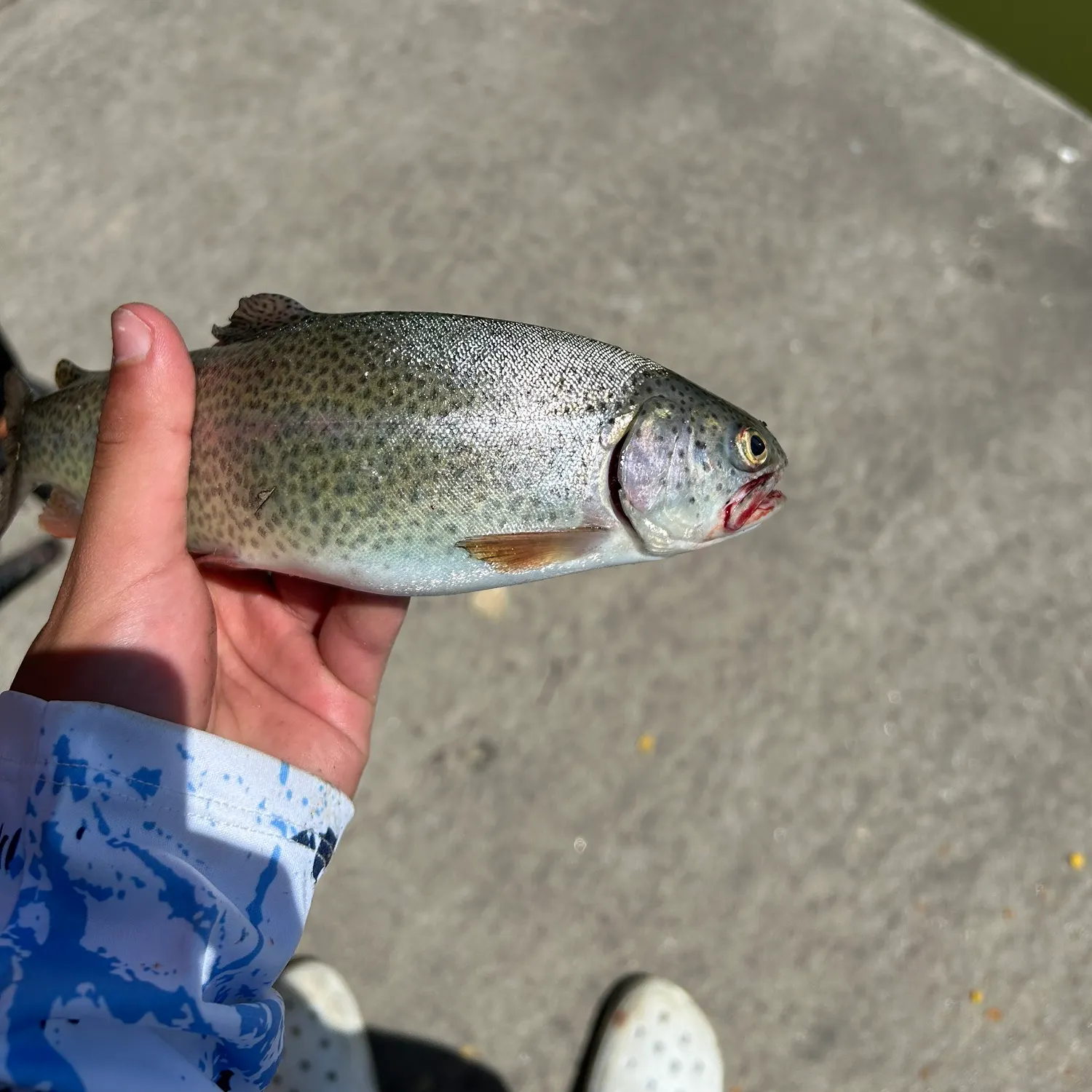 catch