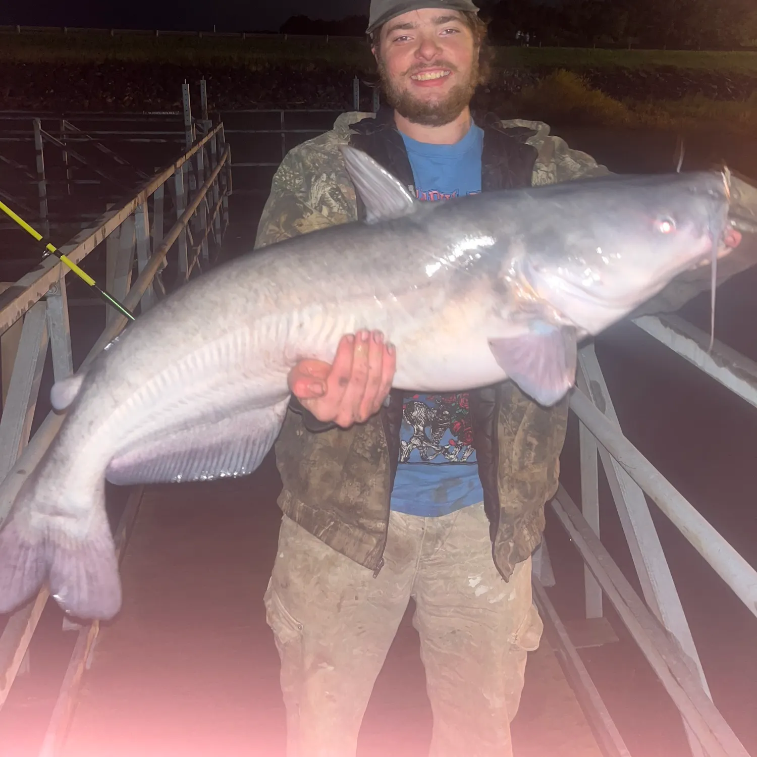 Blue catfish caught on Fishbrain