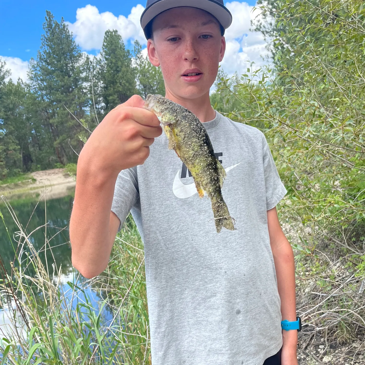 catch