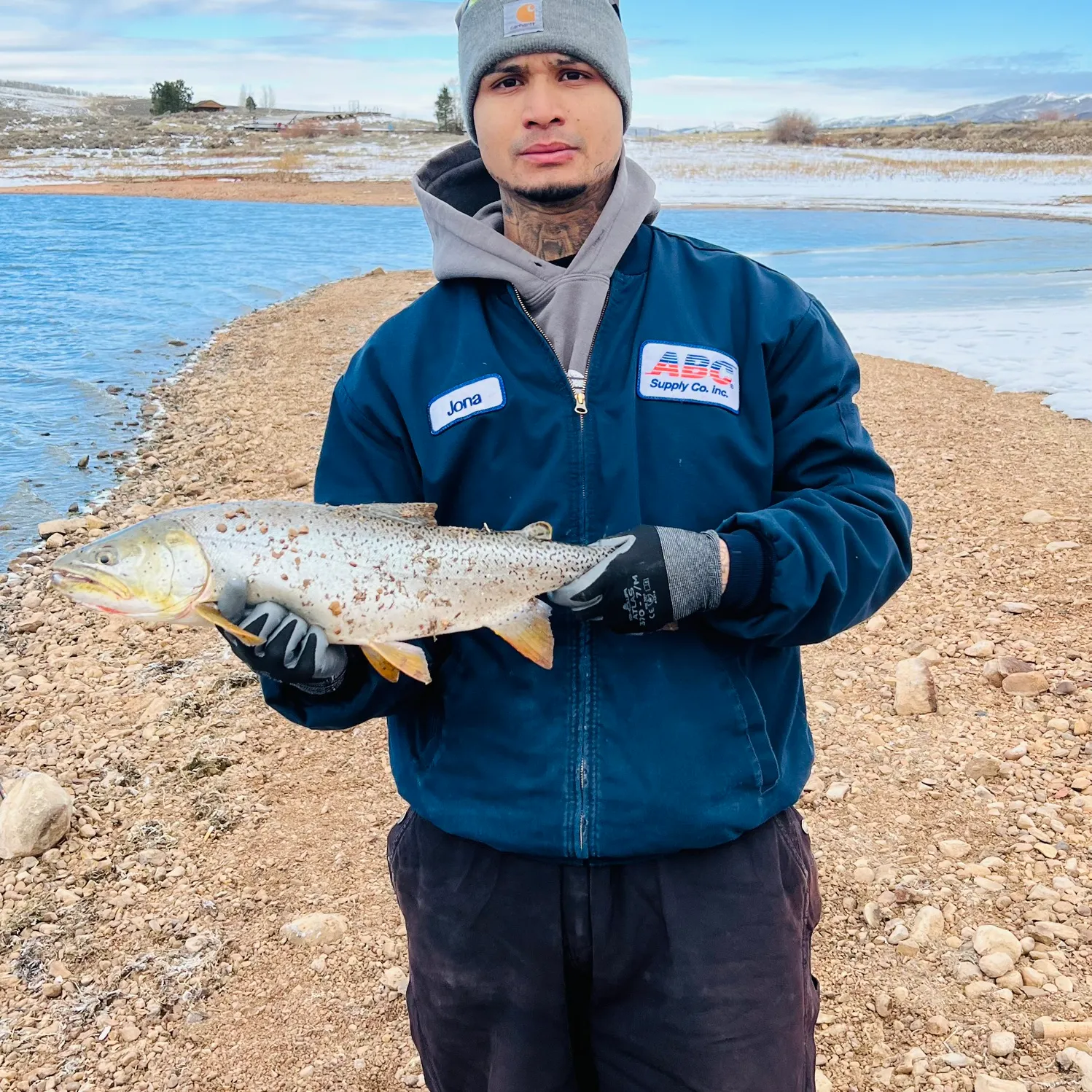 The most recent Sea trout catches on Fishbrain