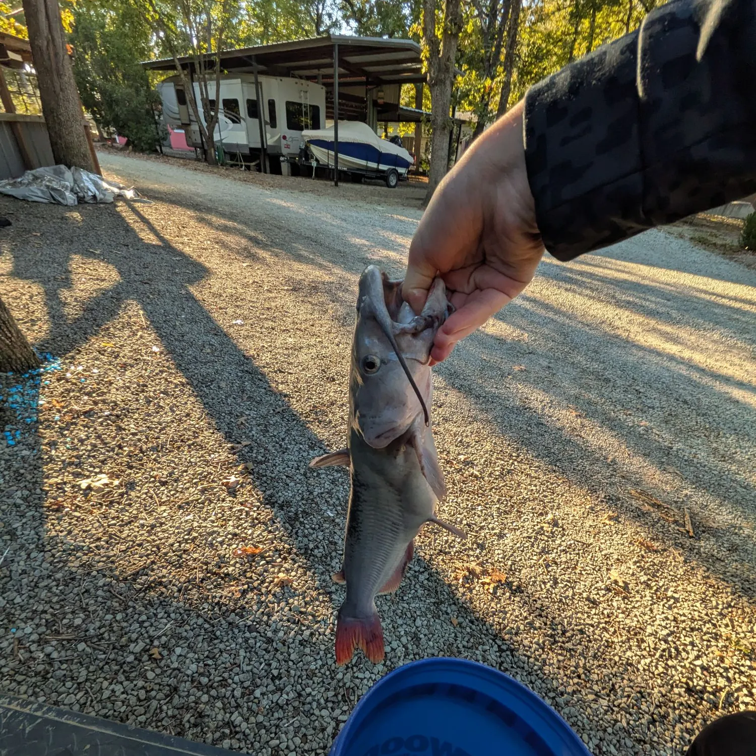 catch